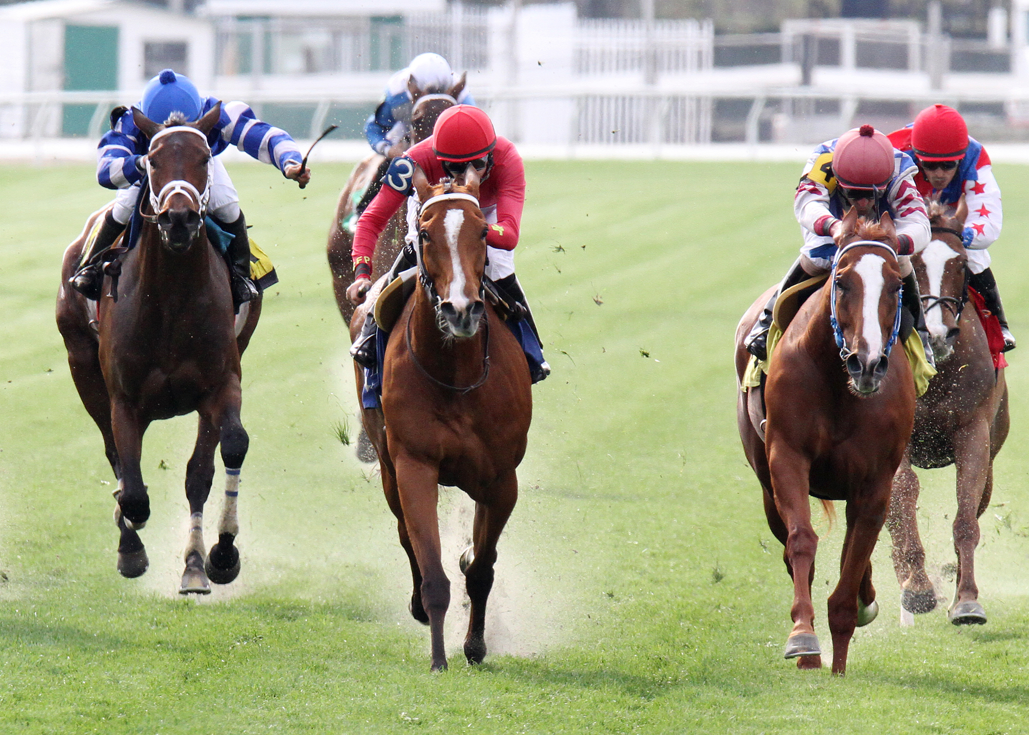 Tensas Harbor wins the Red Camelia
