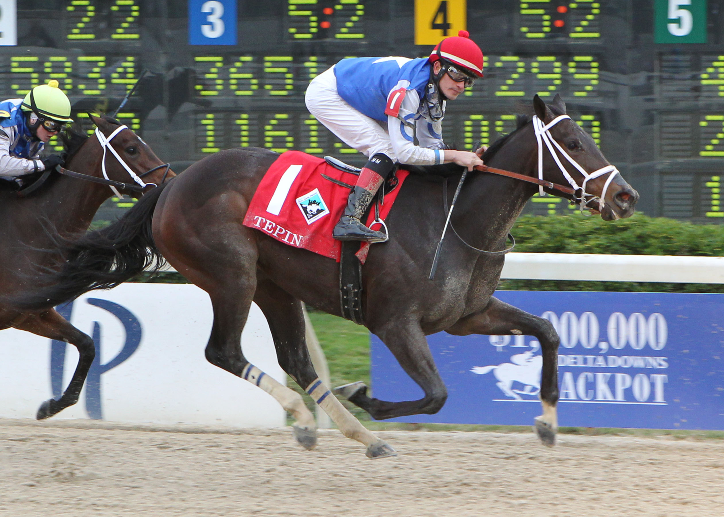 Tepin 11-23-2013