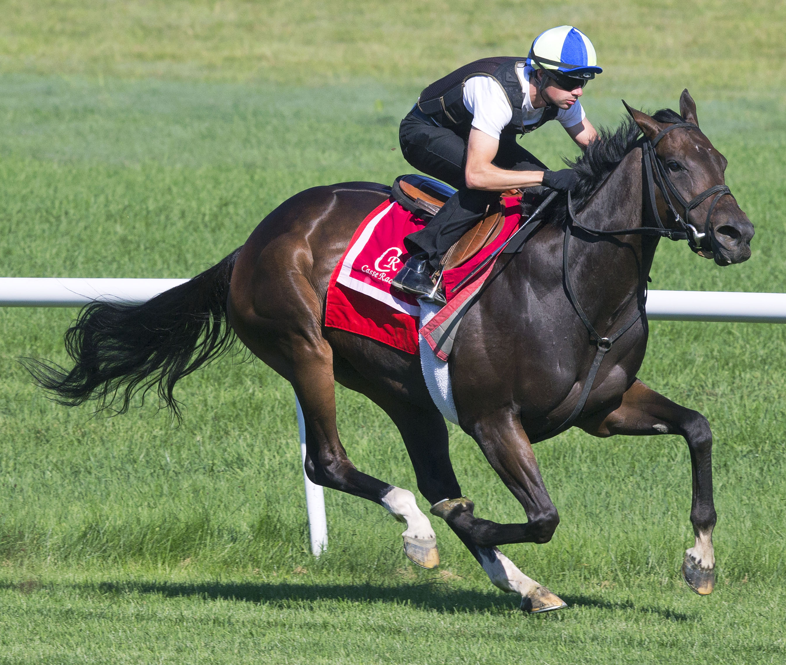 Tepin