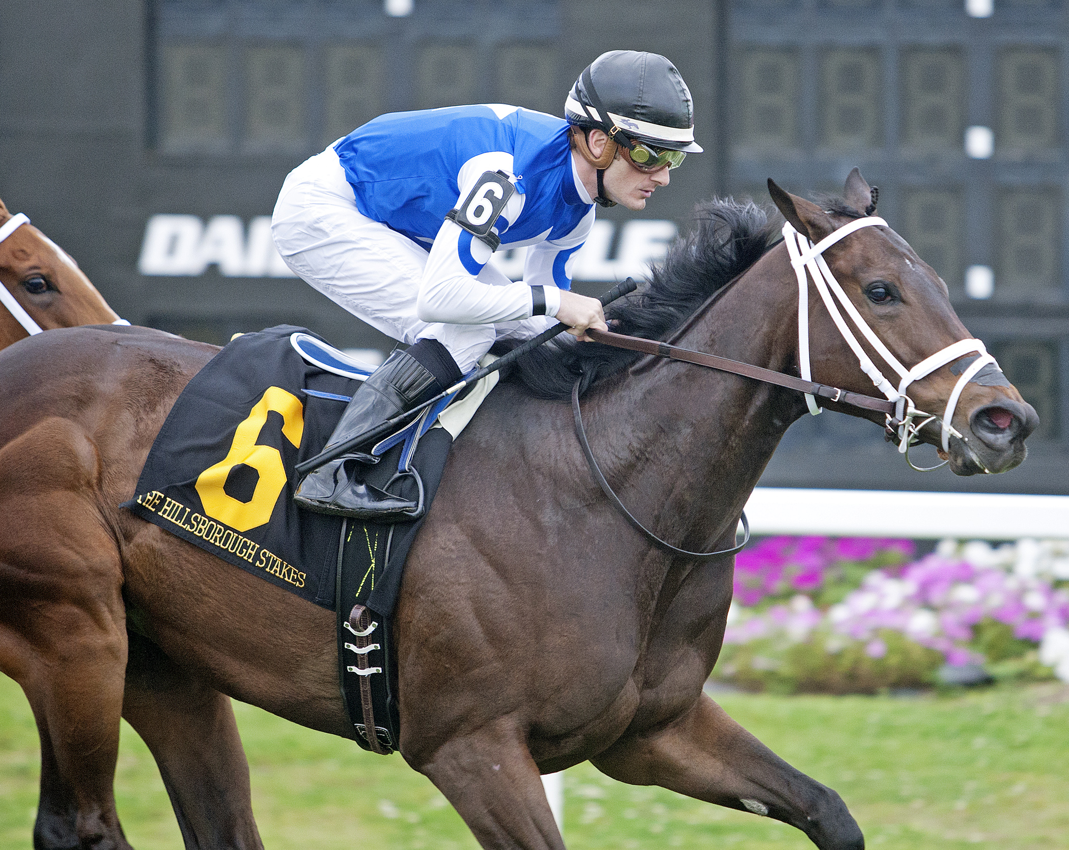 Tepin