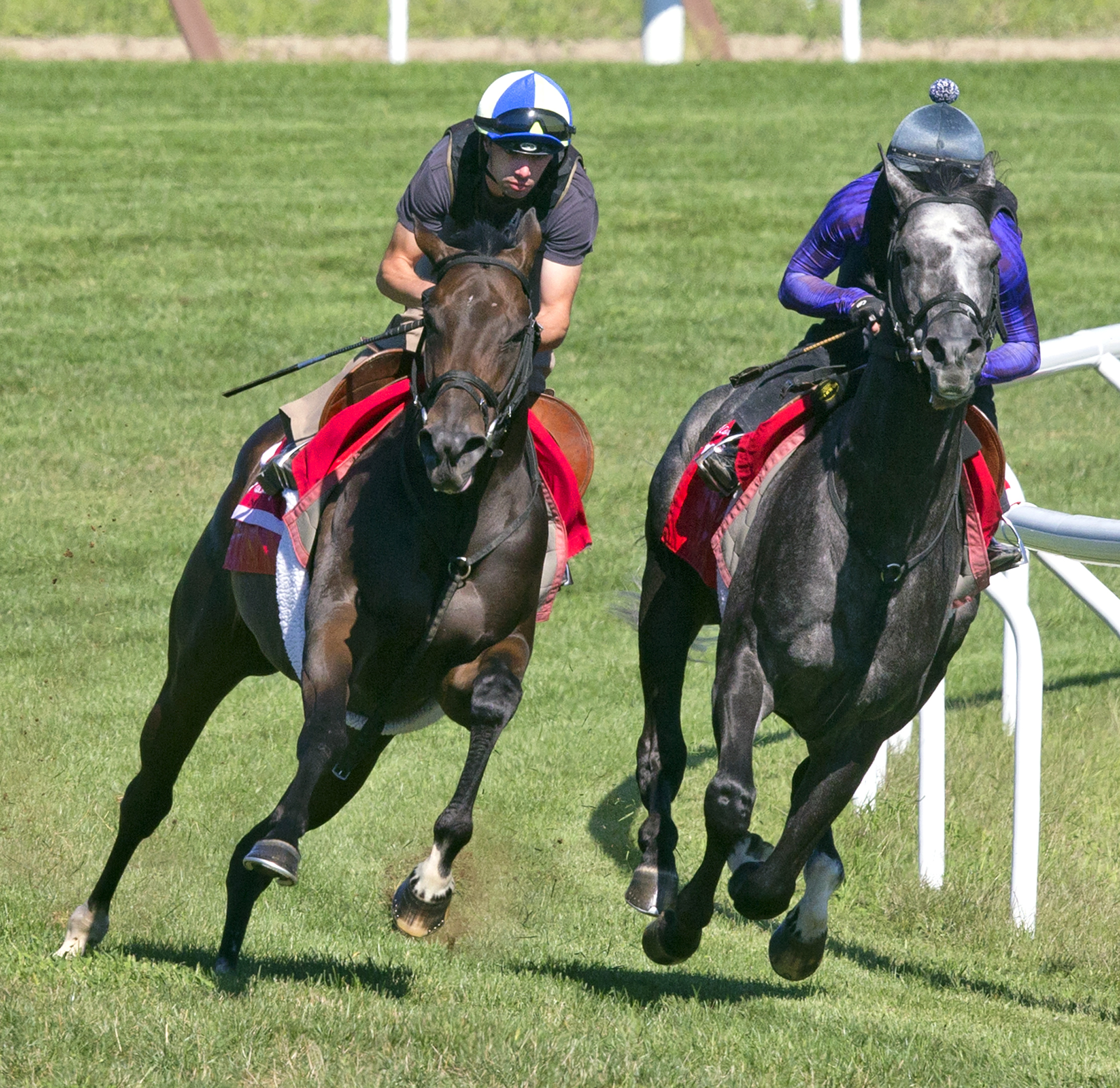 Tepin and Airoforce train at Saratoga on Aug. 23
