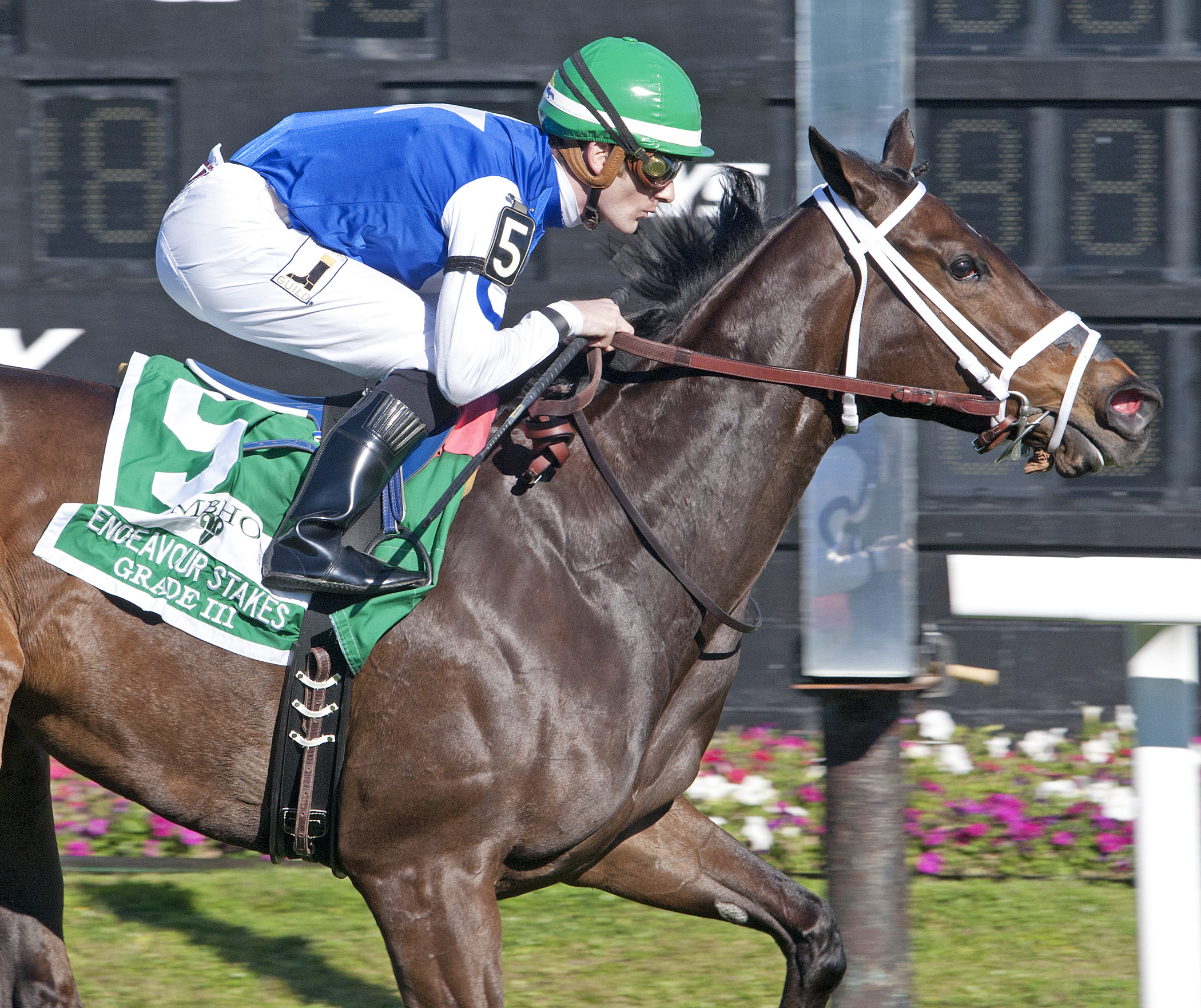 Tepin 2-13-2016
