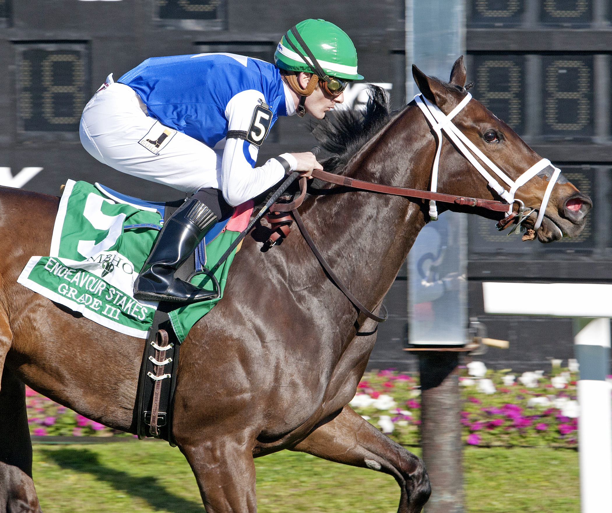 Tepin wins the Endeavour