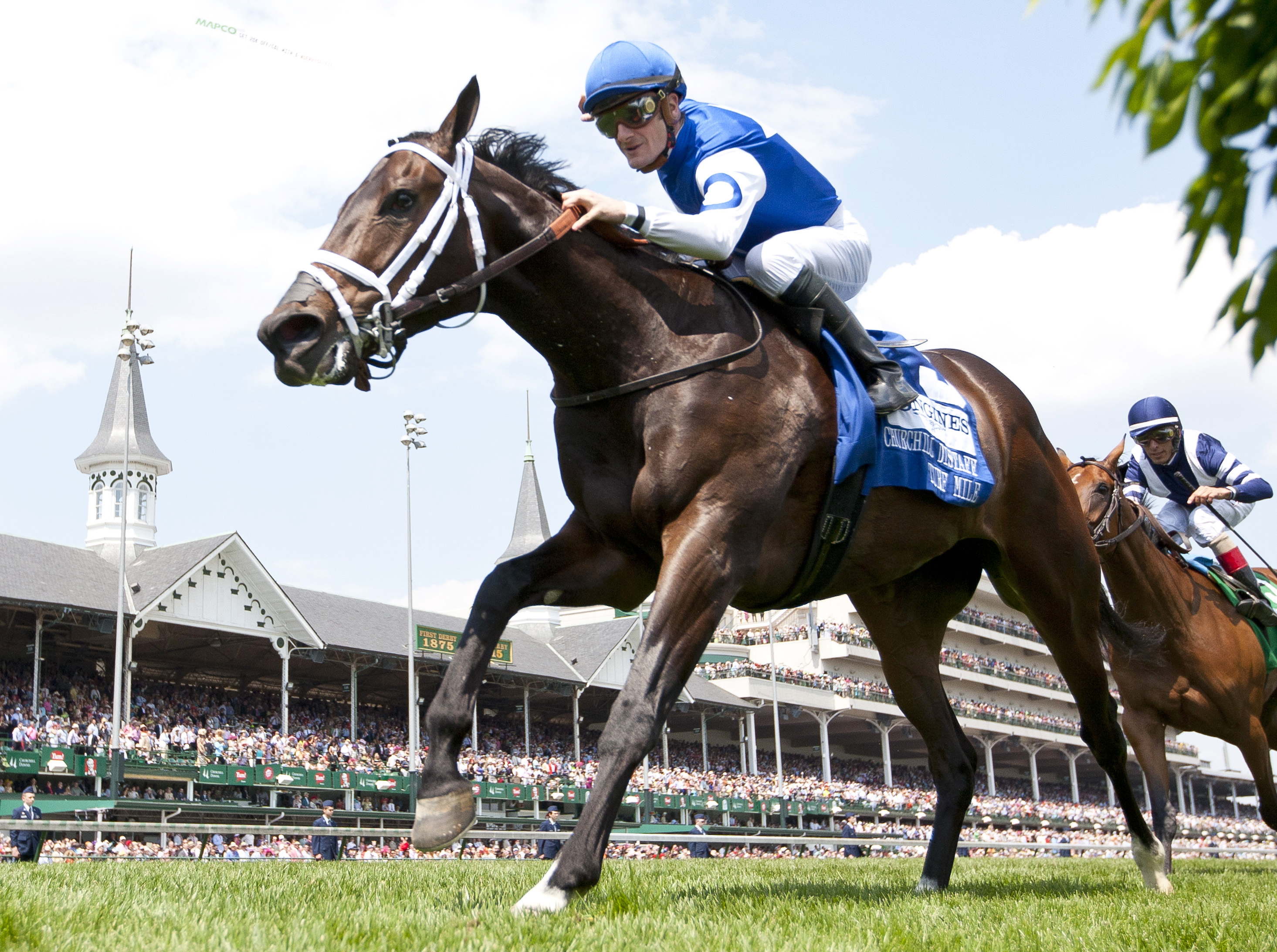 Tepin wins the 2015 Churchill Distaff Turf Mile