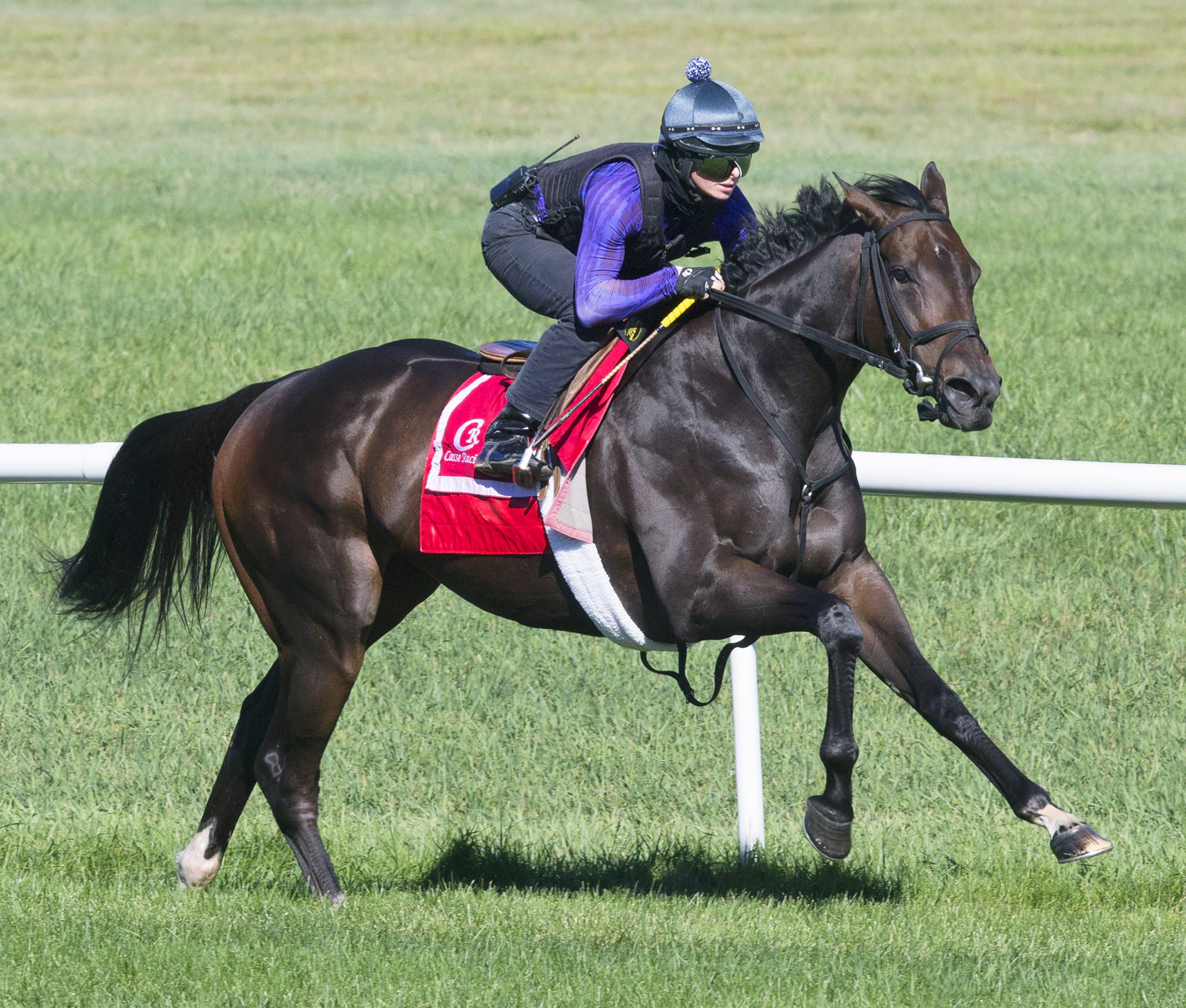 Tepin trains at Saratoga on Sept. 12