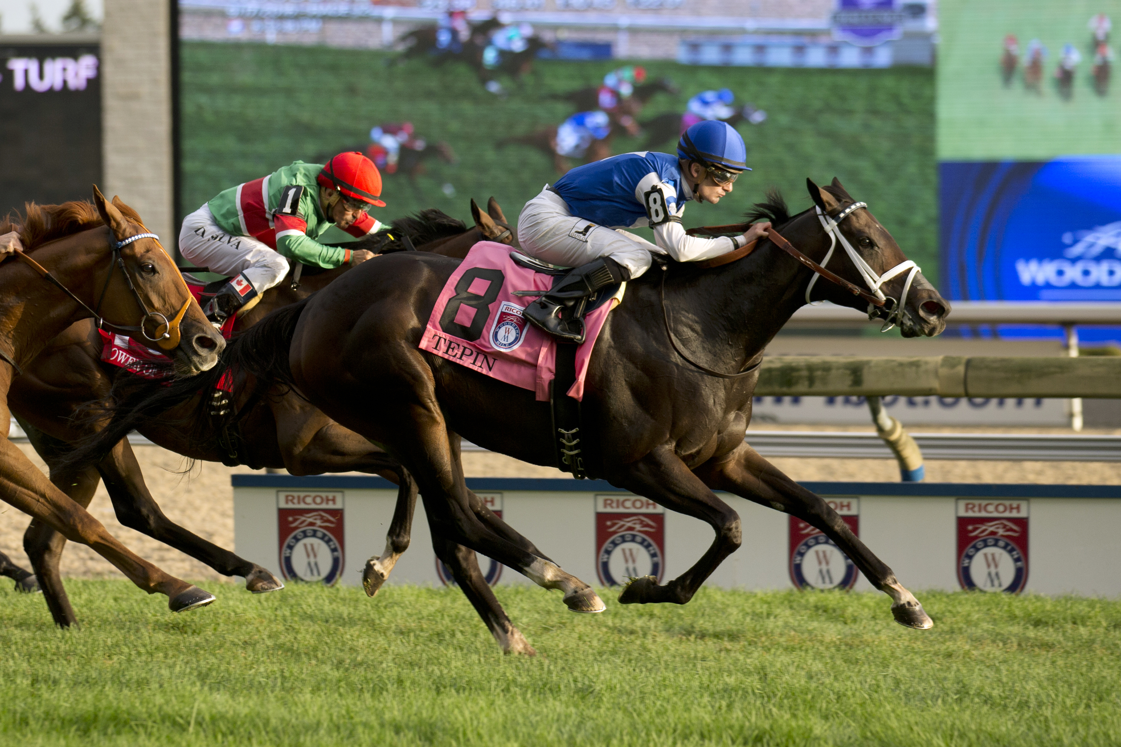 Tepin wins the Woodbine Mile