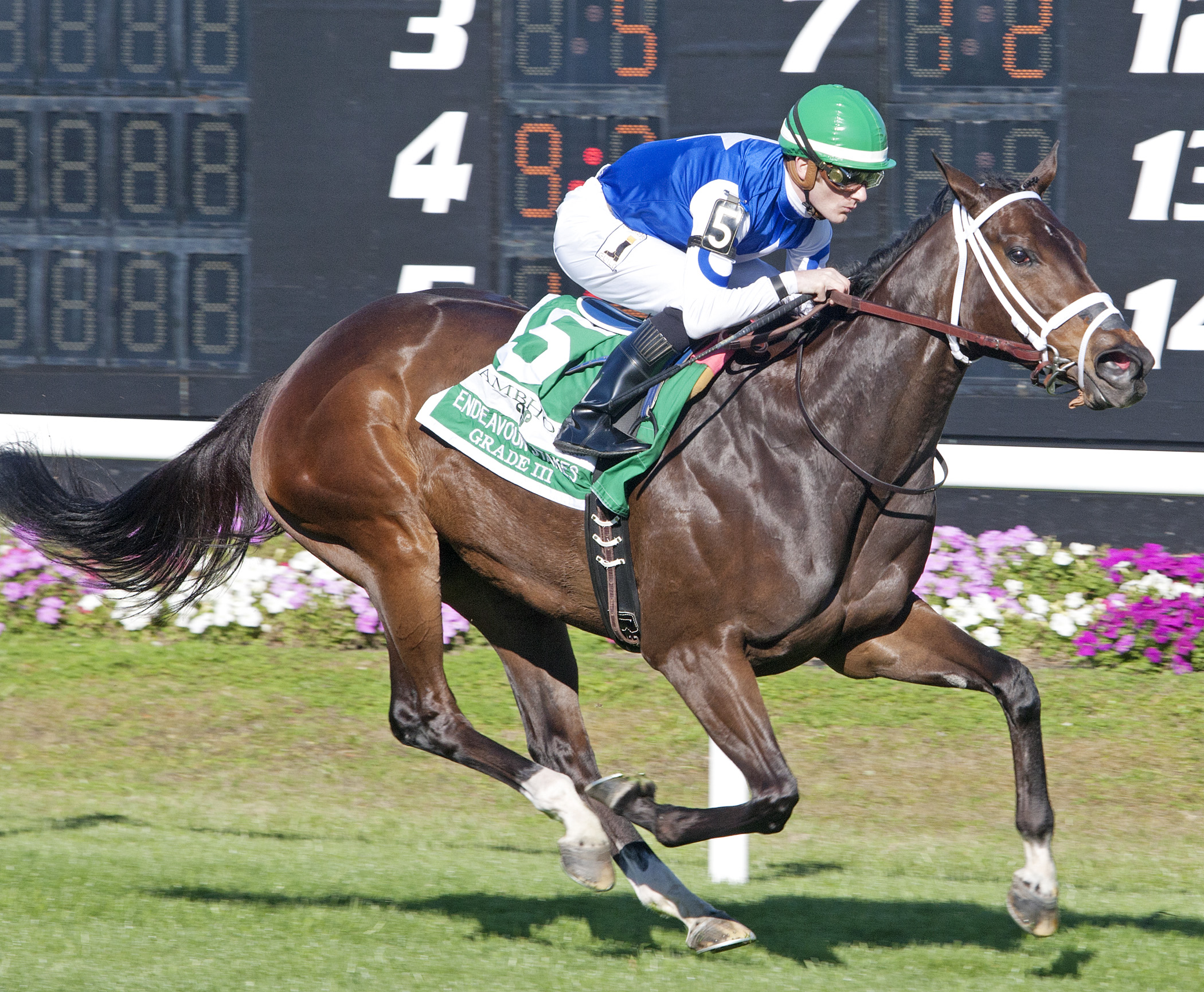 Tepin