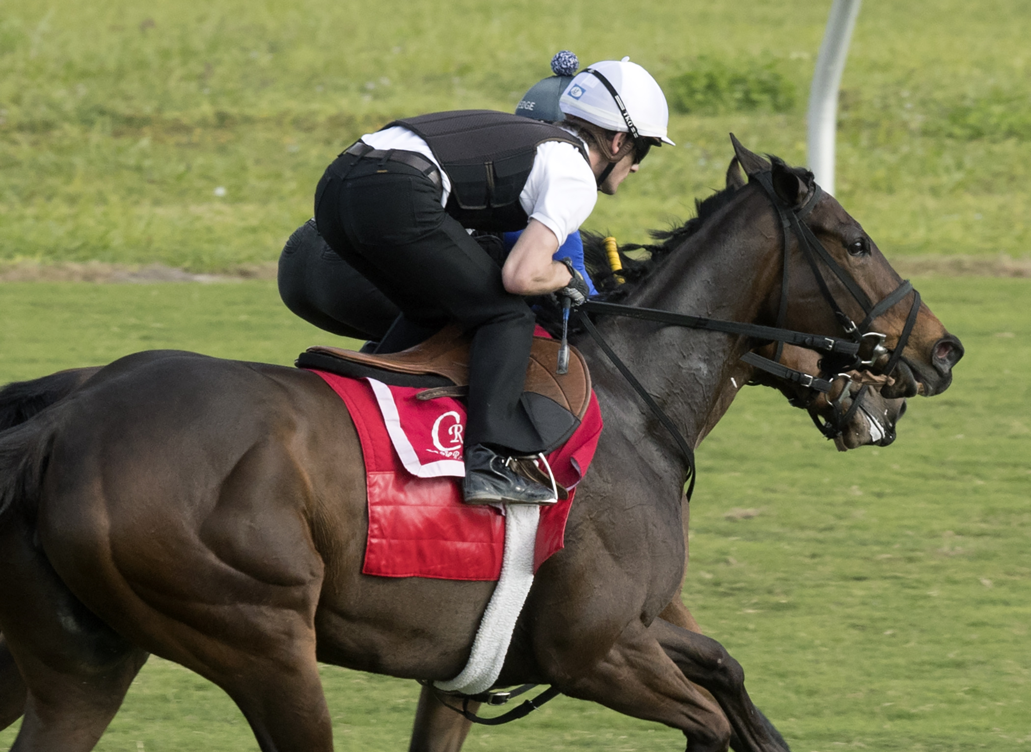 Tepin 1-22-2017