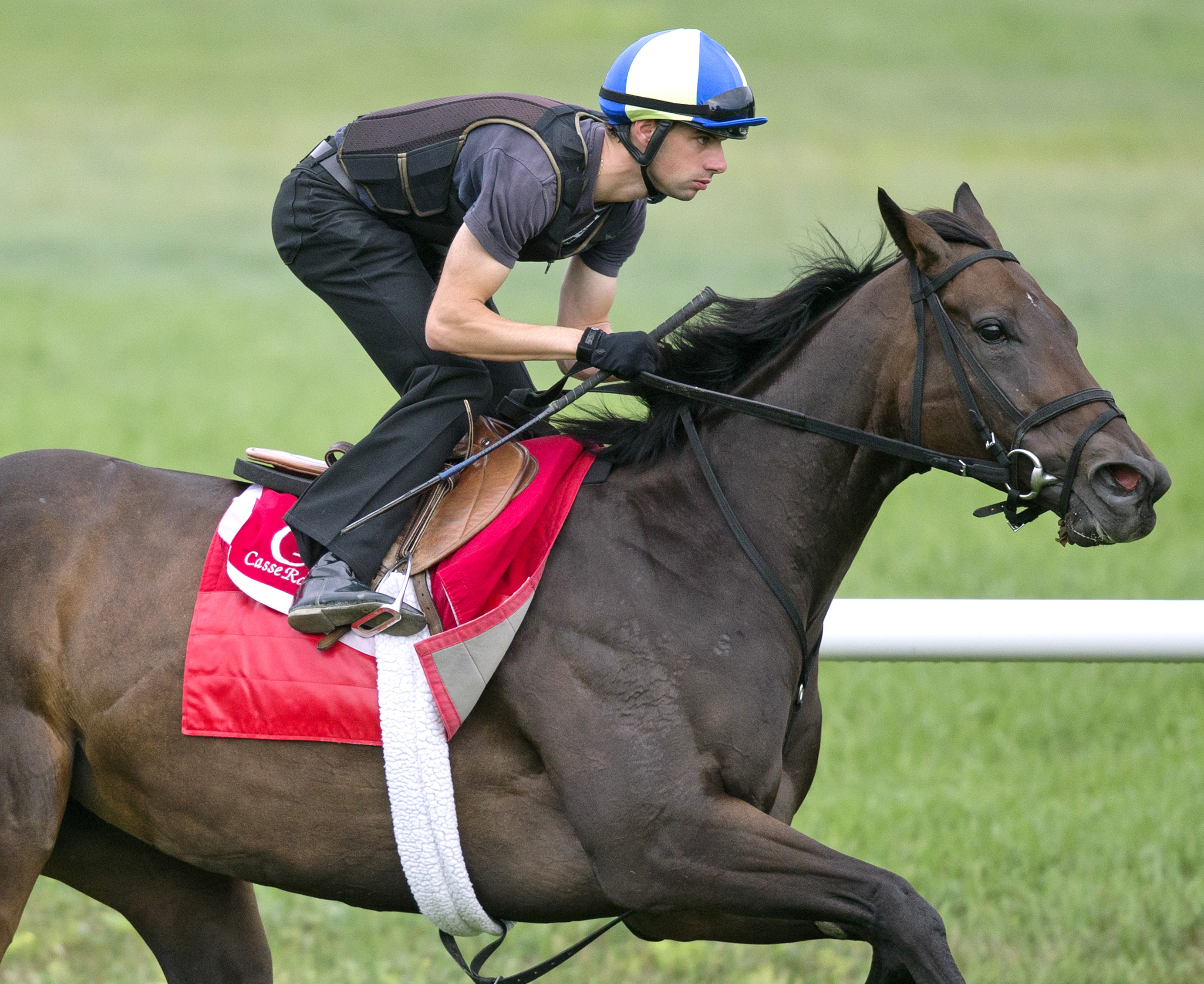 Tepin trains at Saratoga on Aug. 16