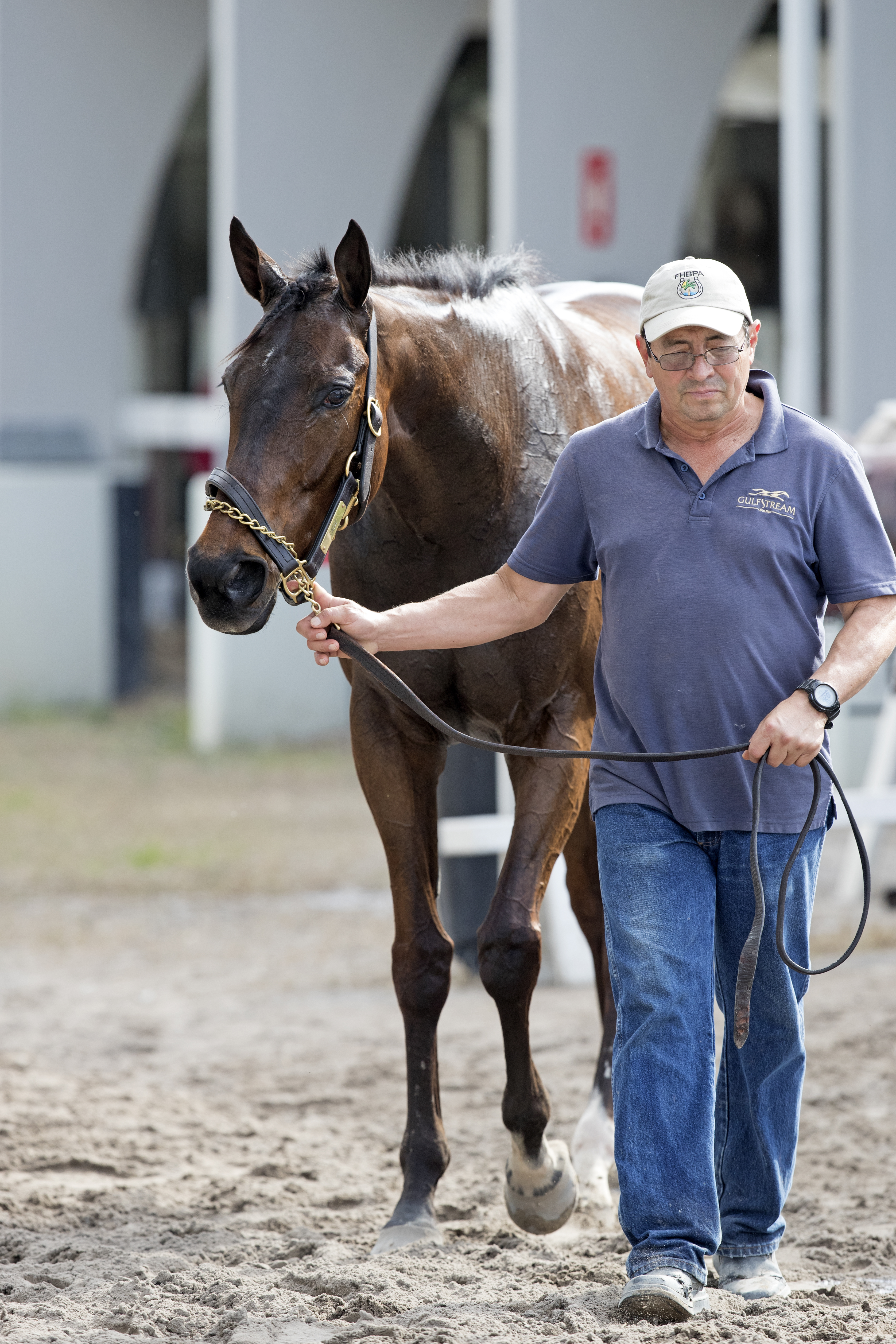 Tepin at Gulfstream on Jan. 22