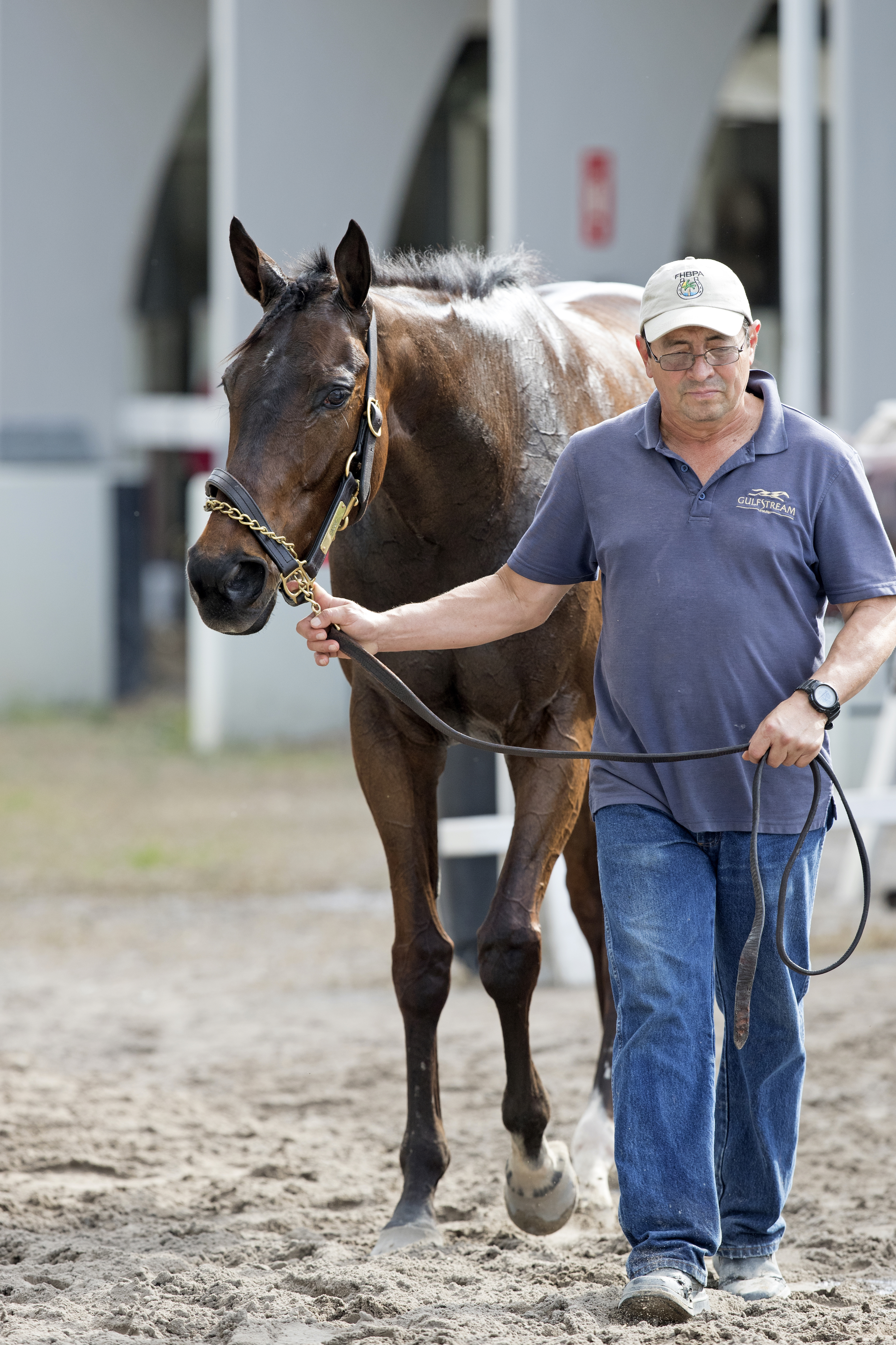 Tepin at Gulfstream on Jan. 22