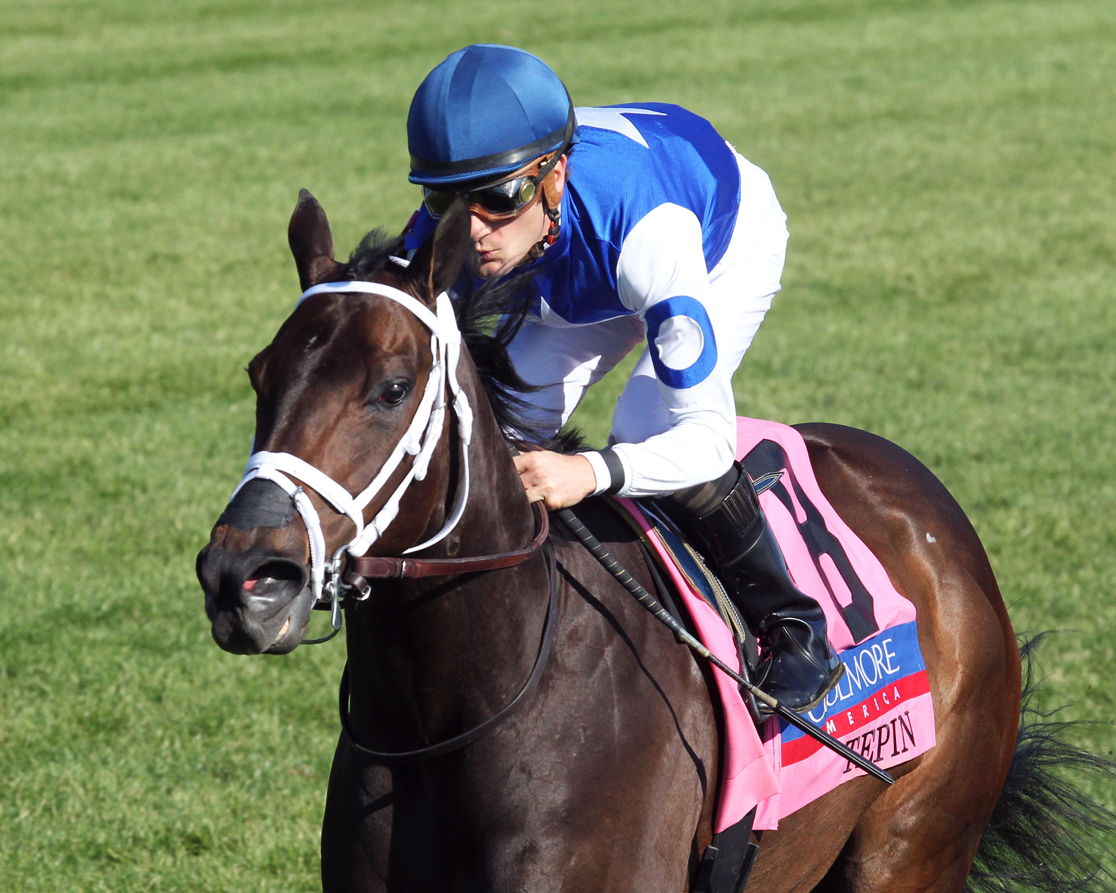 Tepin wins the Jenny Wiley