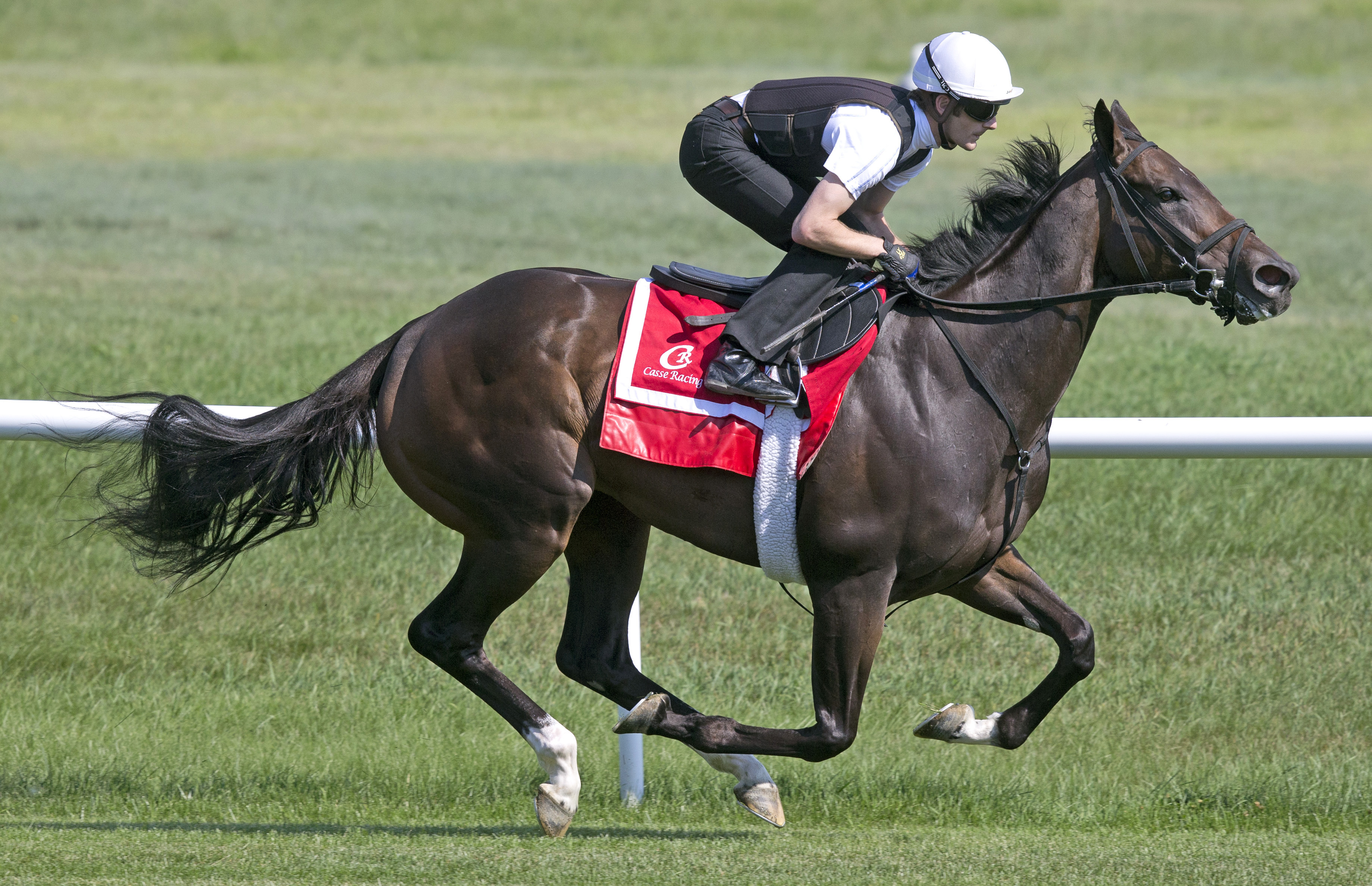 Tepin breezes on the Saratoga turf on July 22