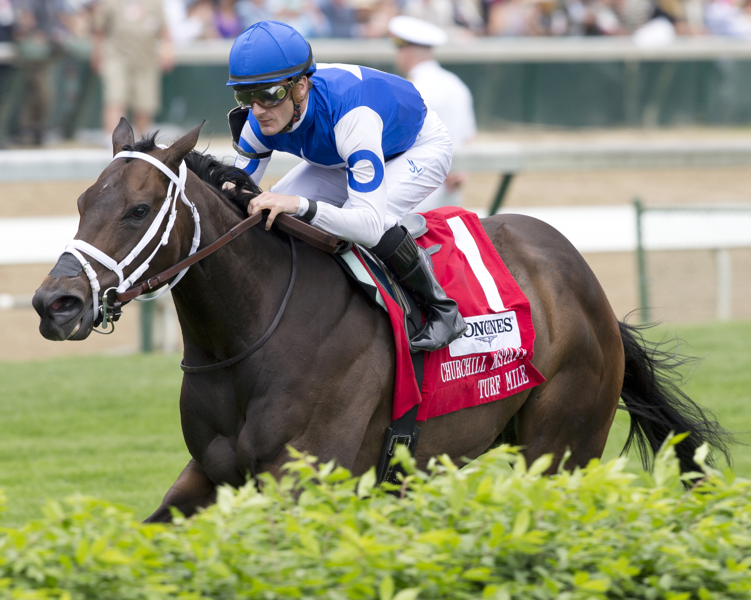 Tepin