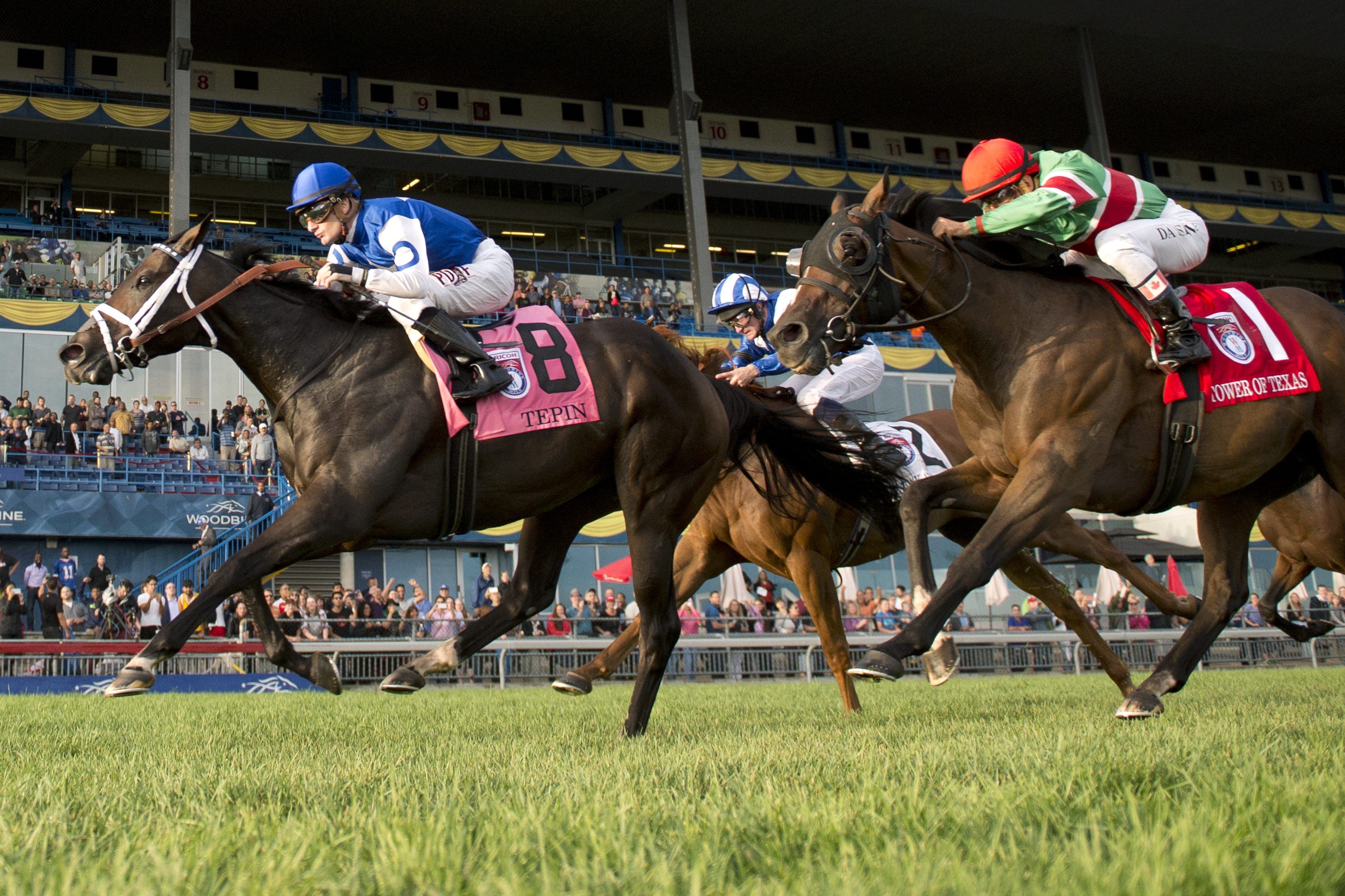 Tepin wins the Woodbine Mile