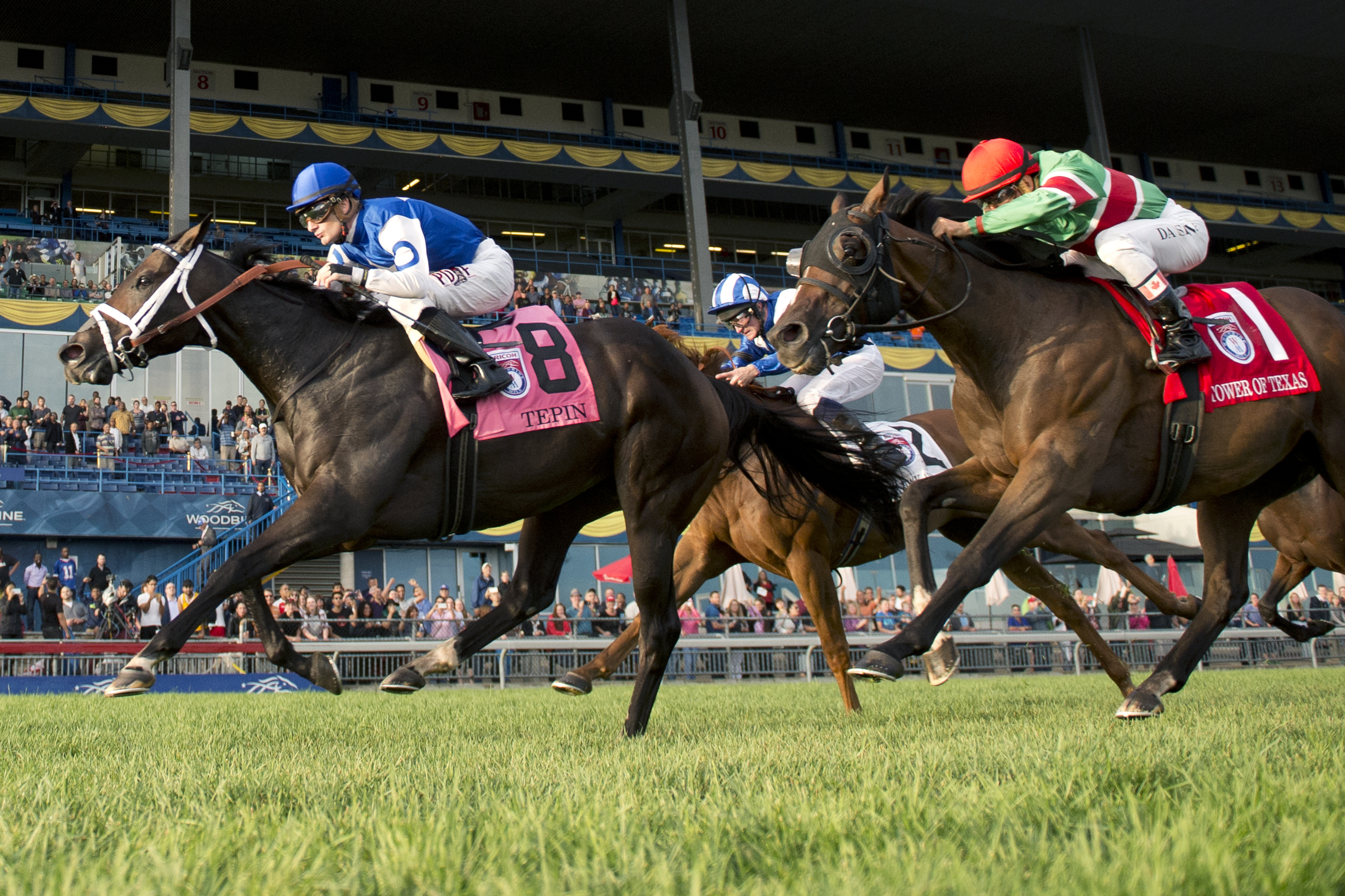 Tepin wins the Woodbine Mile