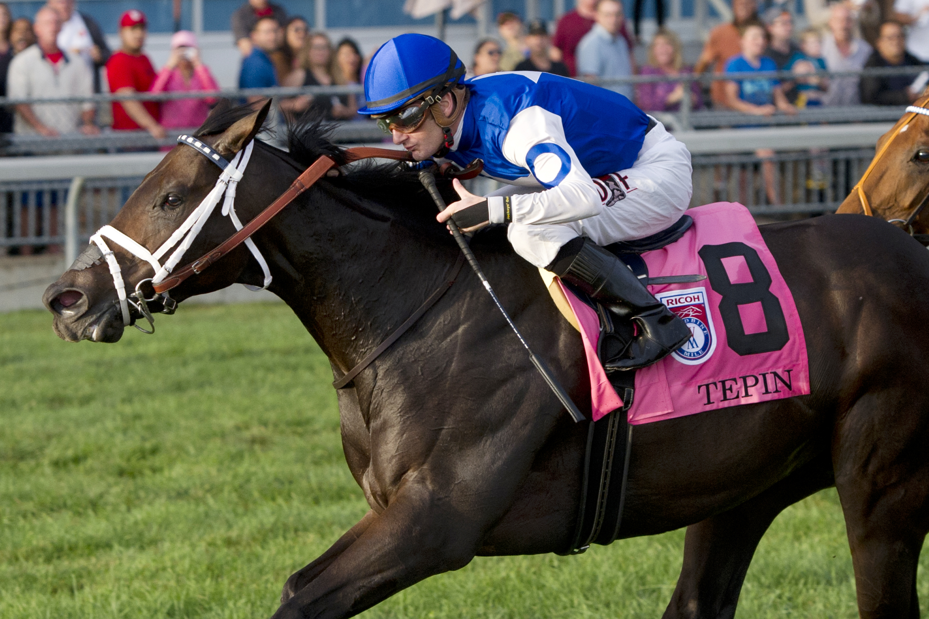 Tepin wins the Woodbine Mile
