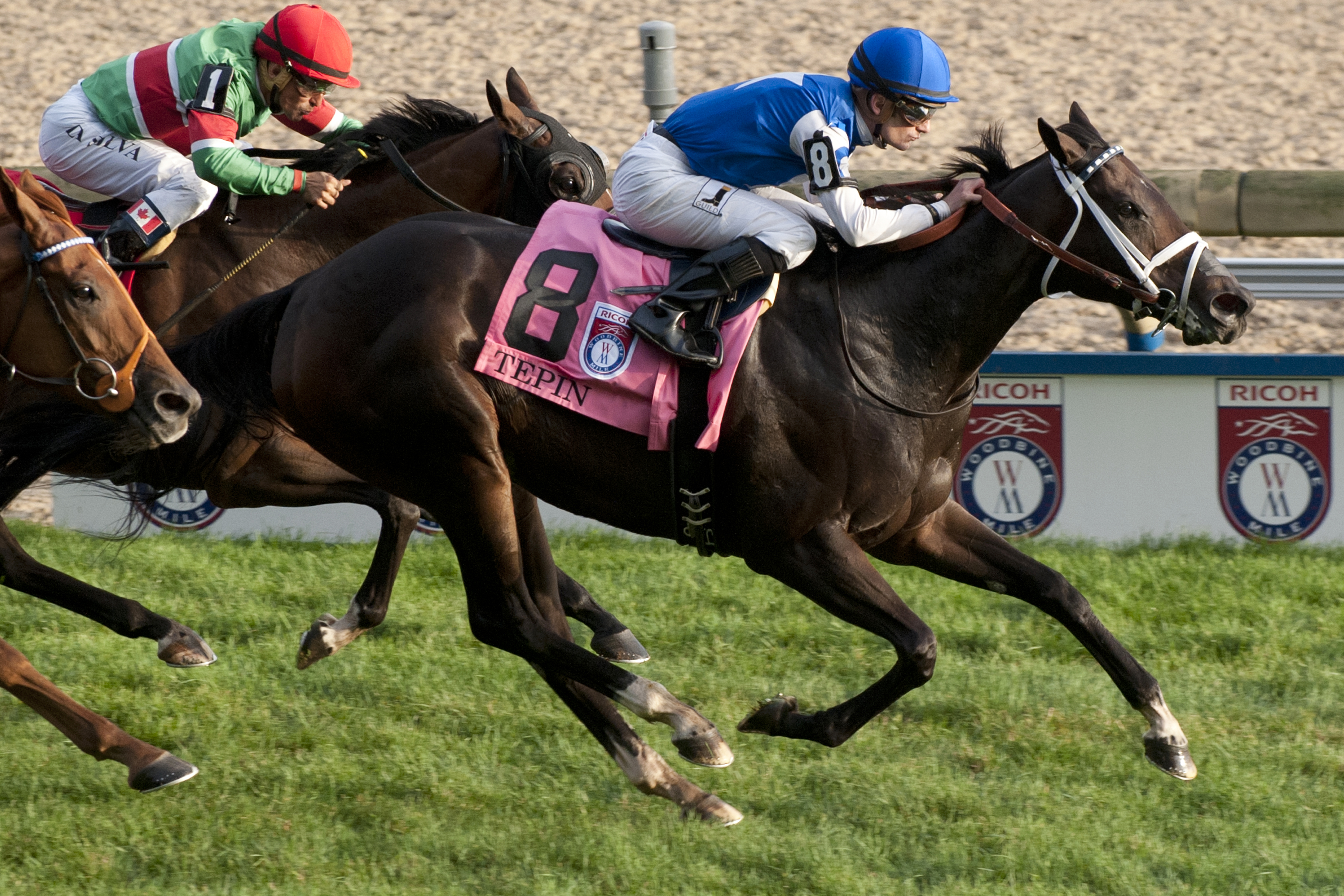 Tepin wins the Woodbine Mile