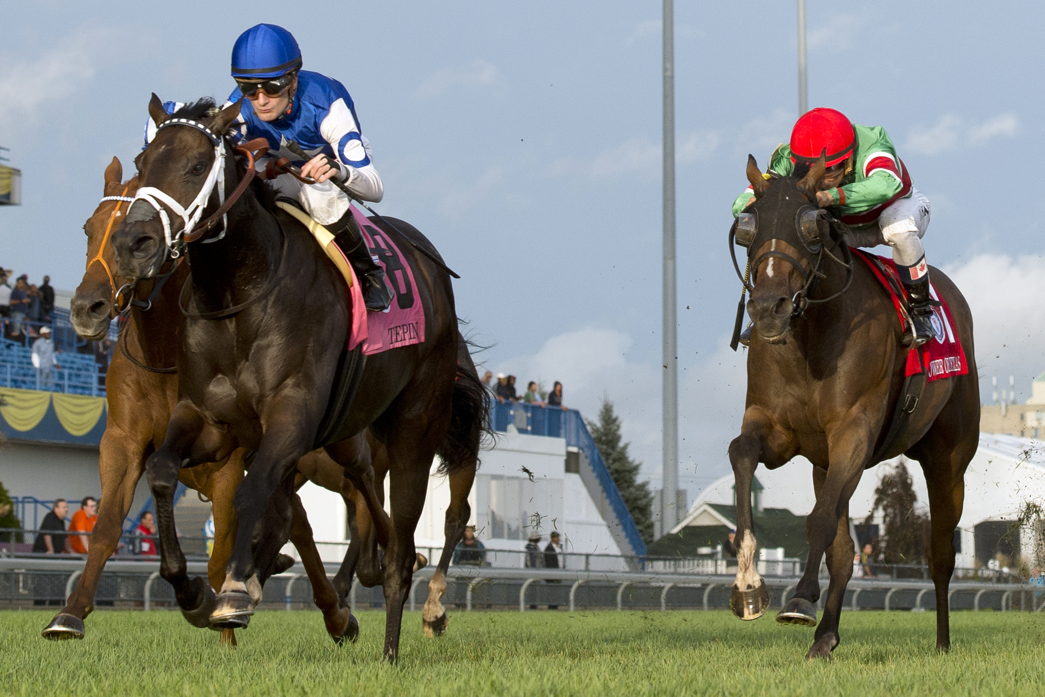 Tepin wins the Woodbine Mile