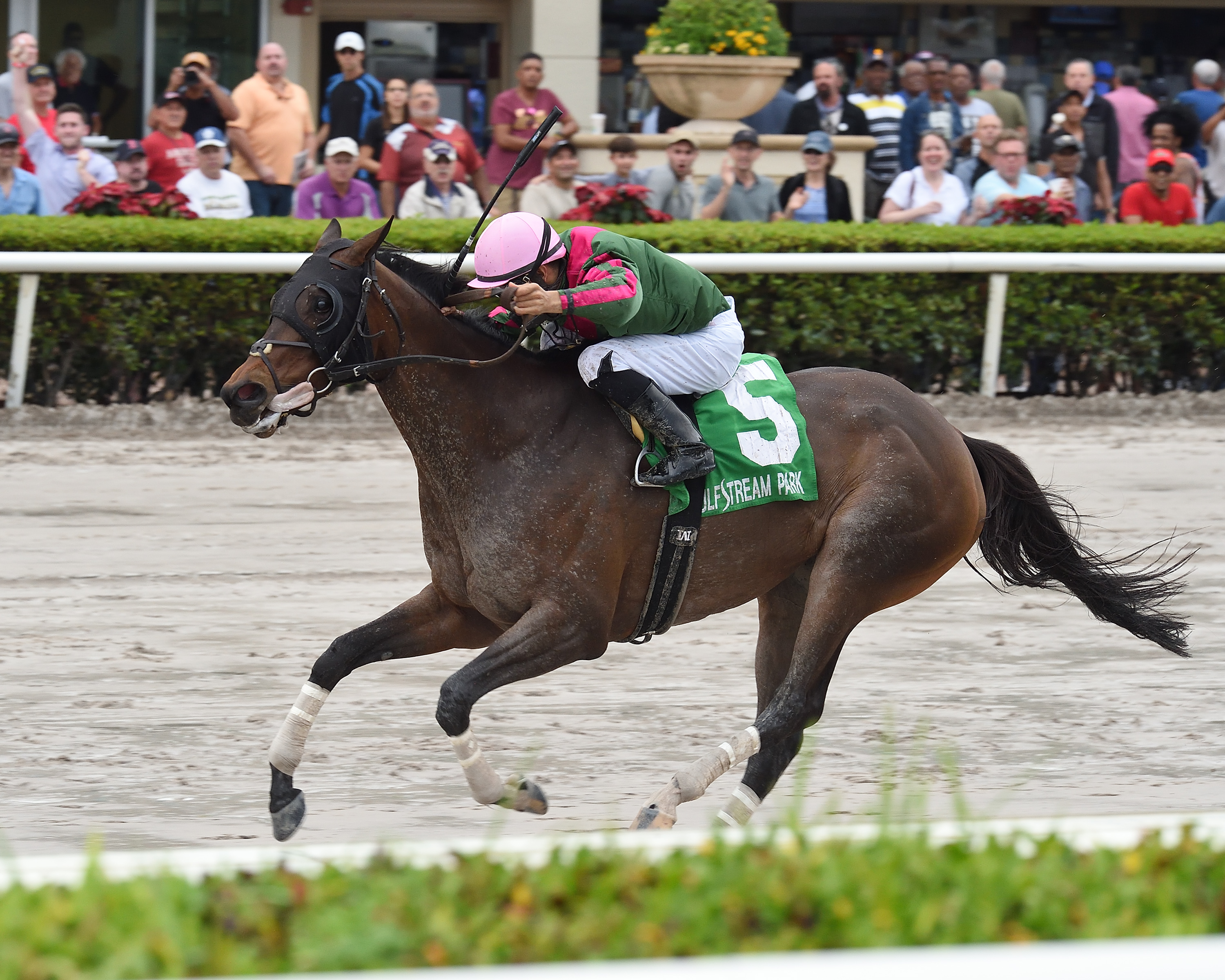 Tequilita wins 2018 Rampart