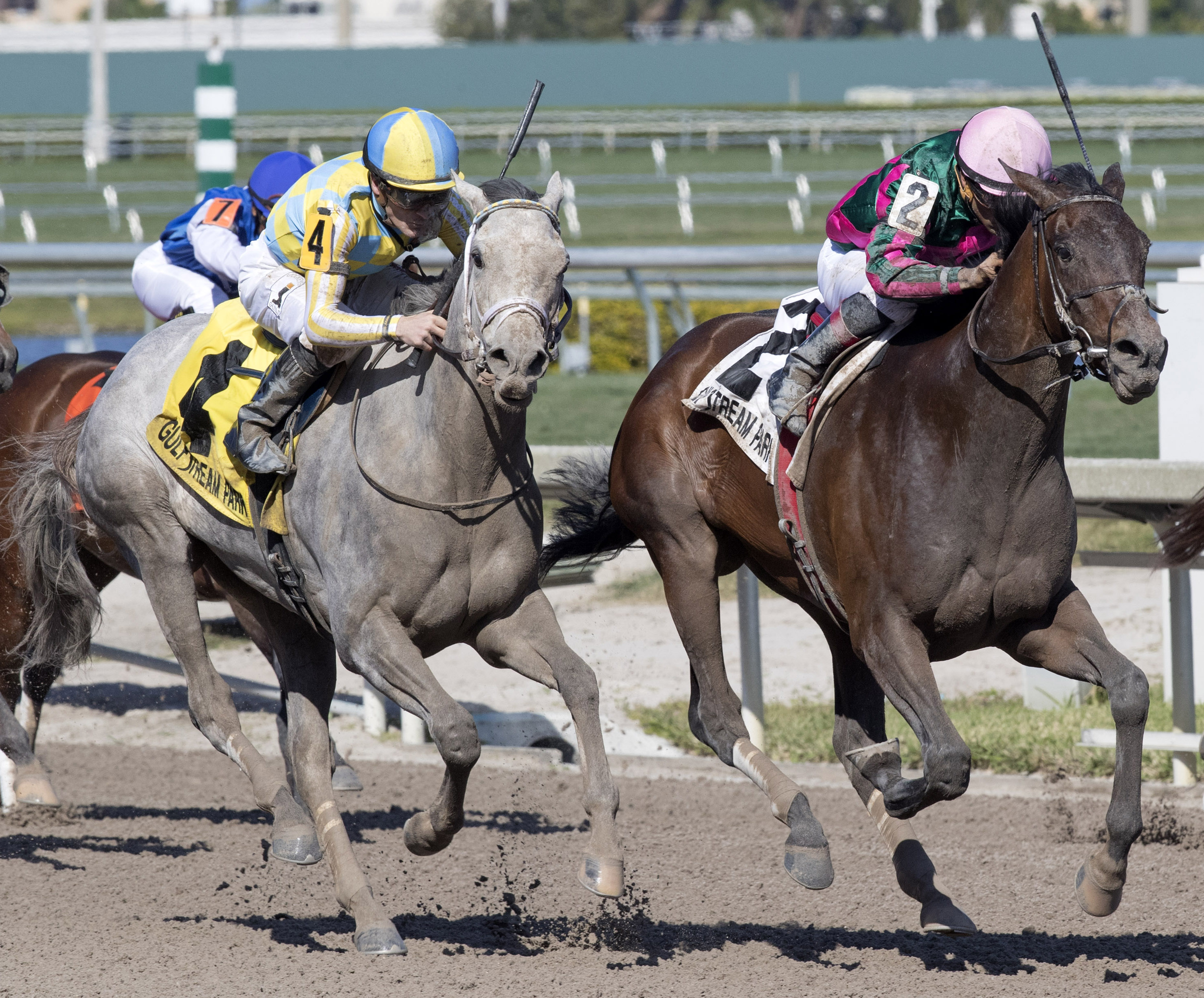 Tequilita wins the Forward Gal