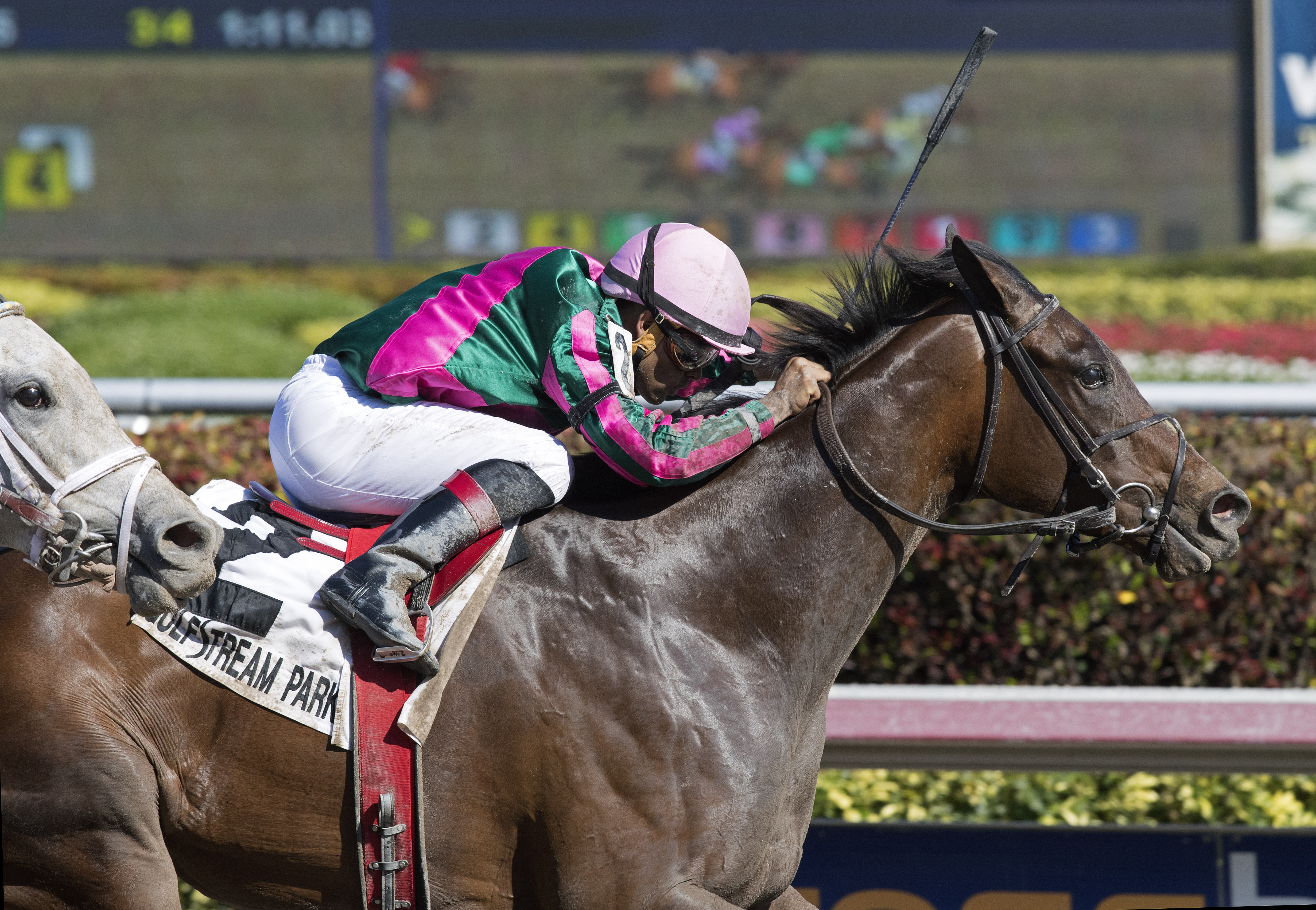 Tequilita wins the Forward Gal