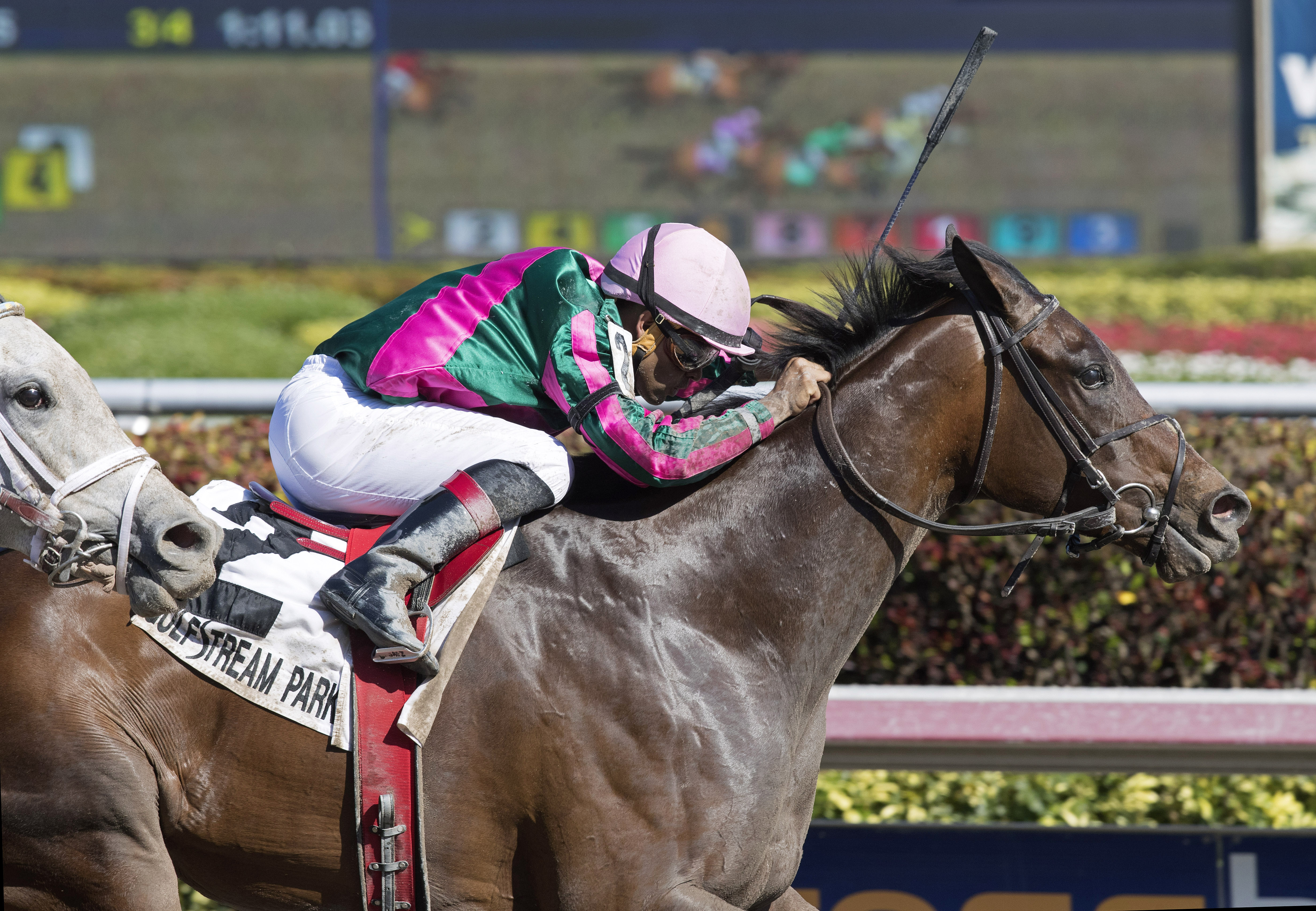 Tequilita wins the Forward Gal