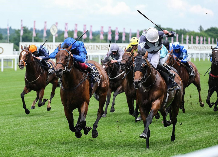 Terebellum (left) finishes second in the Queen Anne Stakes at Royal Ascot