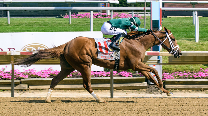 Teresa Z wins the 2018 Obeah Stakes