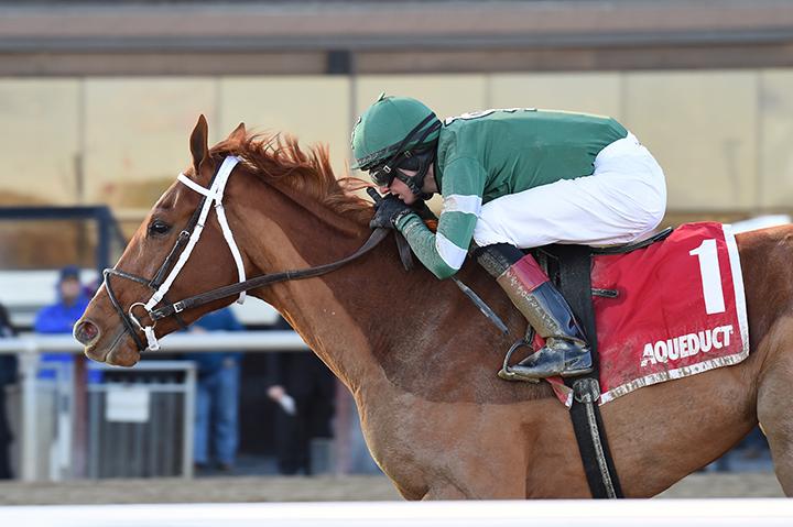 Teresa Z wins the 2018 Turnback the Alarm