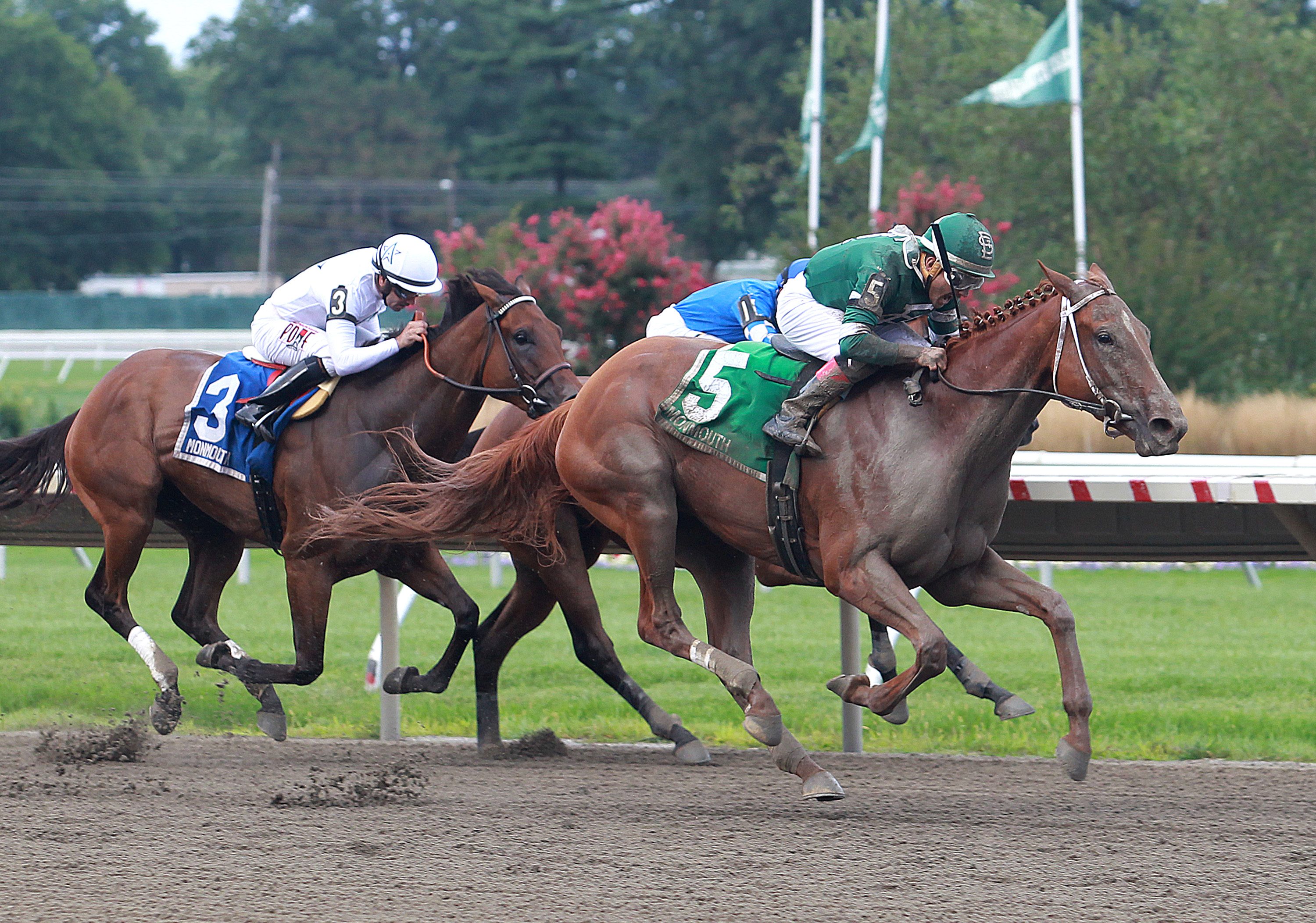 Teresa Z wins the Grade 3 Monmouth Oaks at Monmouth Park 8.12.17