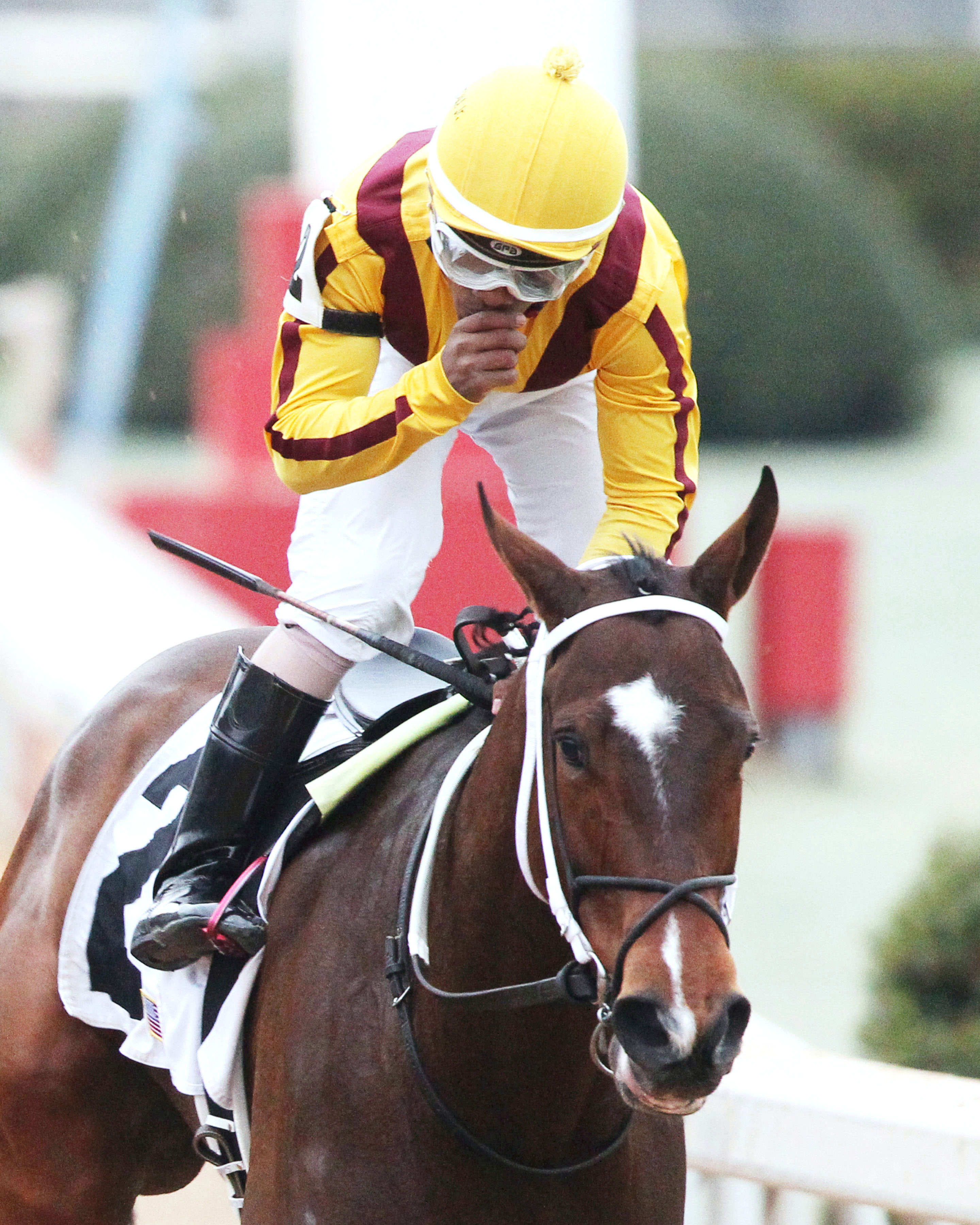 Terra Promessa wins the Bayakoa