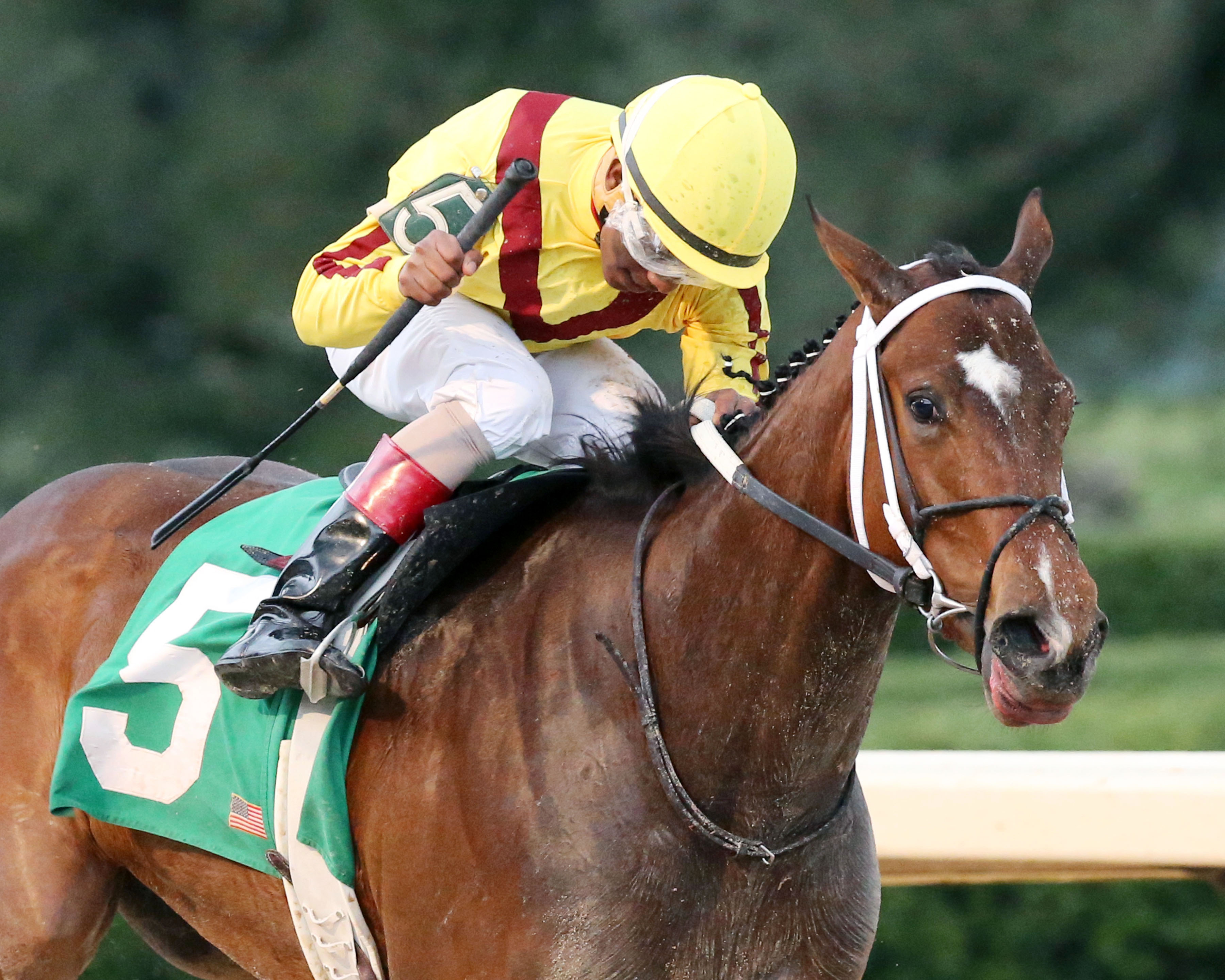 Terra Promessa wins the Honeybee Stakes