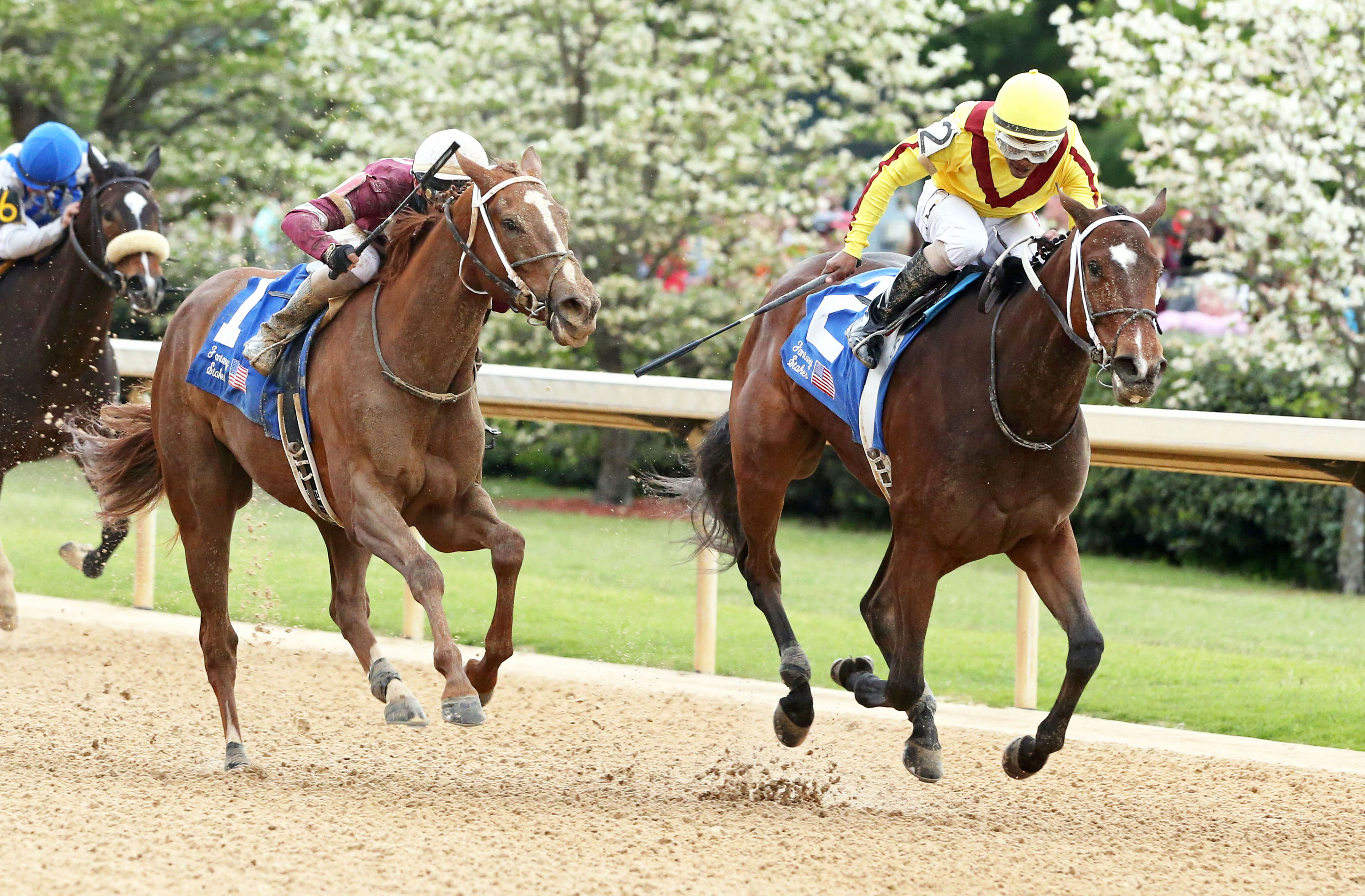 Terra Promessa wins the Fantasy Stakes