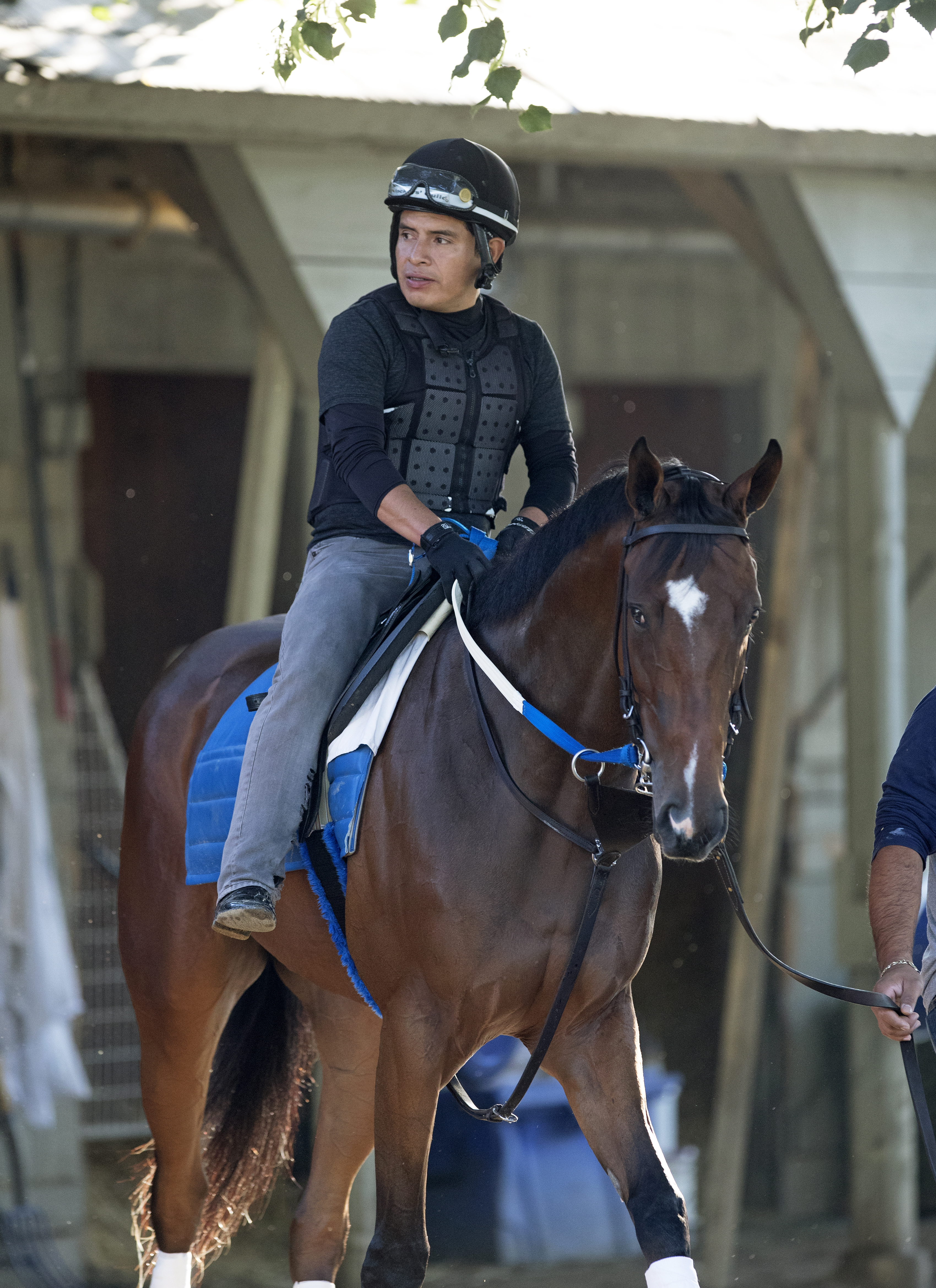 Terra Promessa at Saratoga on July 28