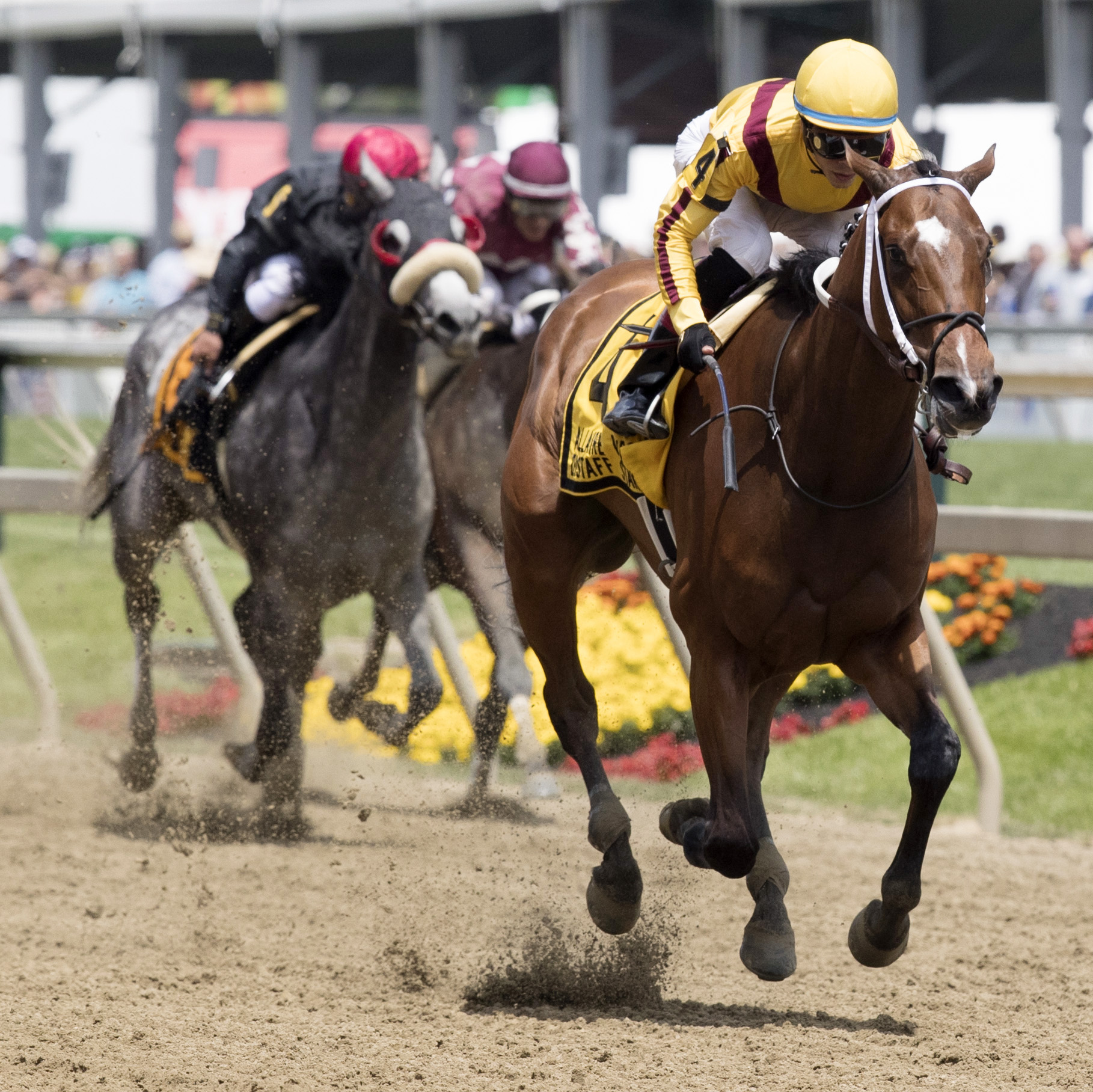 Terra Promessa wins the Allaire duPont Distaff
