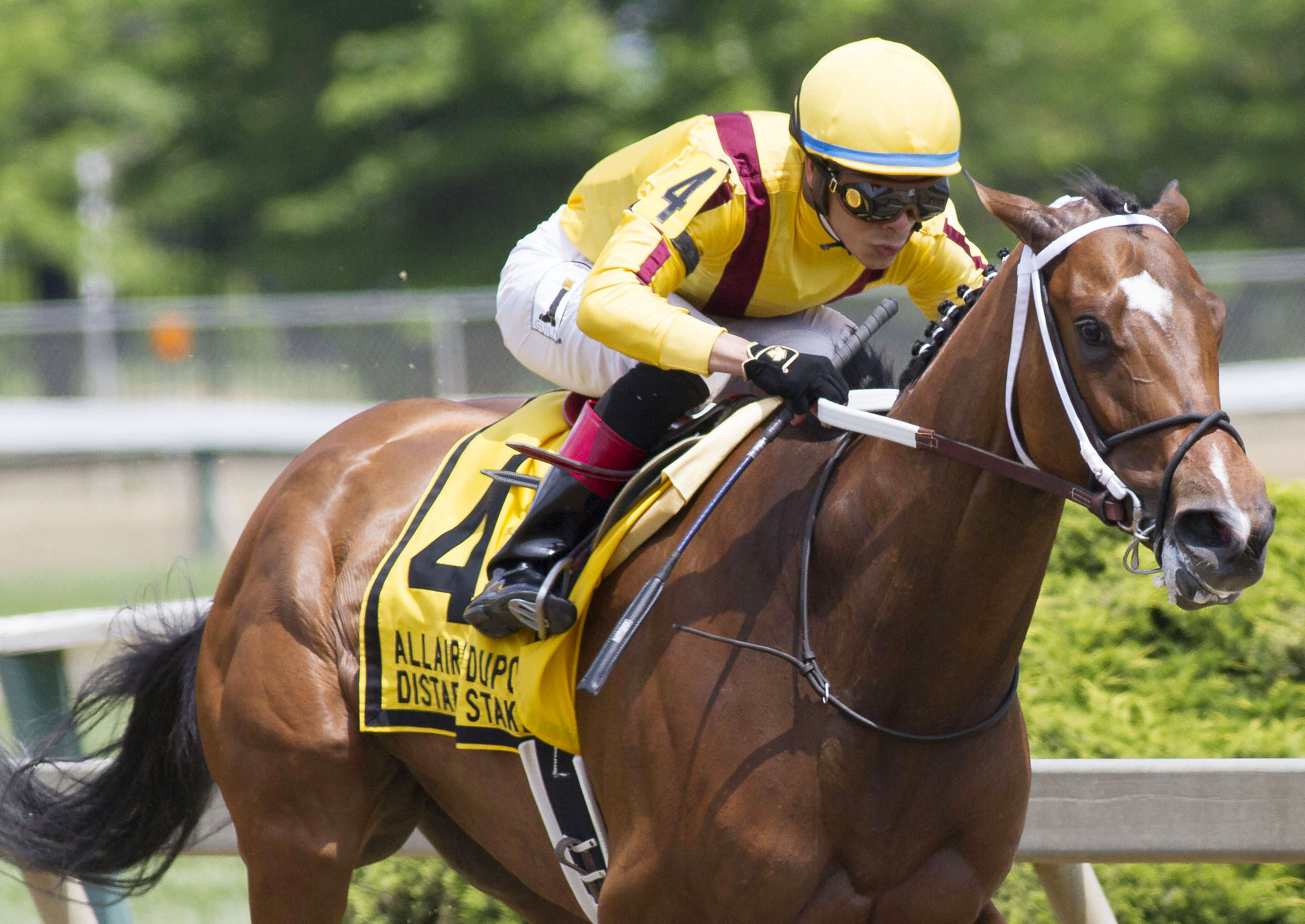 Terra Promessa wins the Allaire duPont Distaff