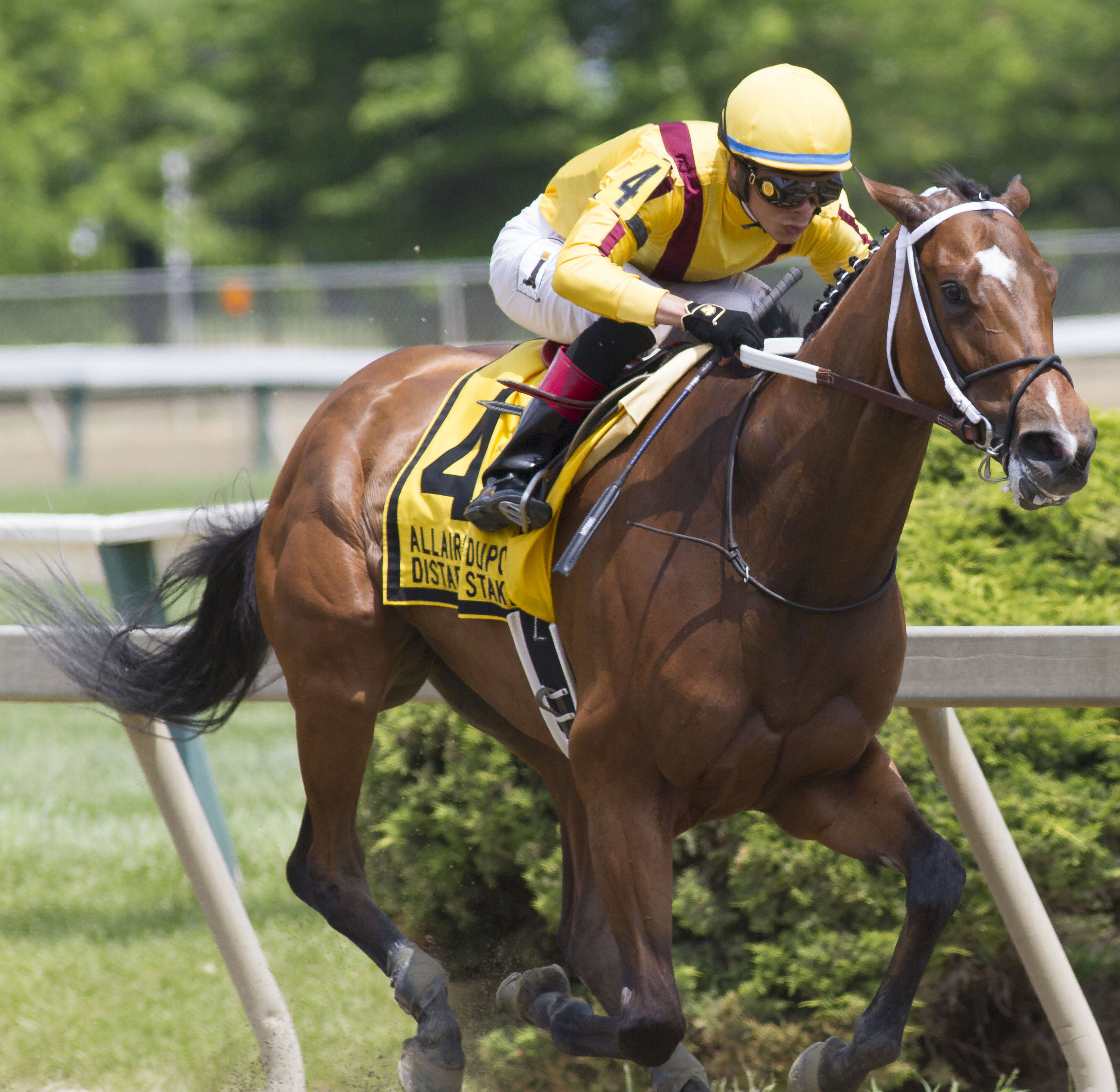 Terra Promessa wins the Allaire duPont Distaff