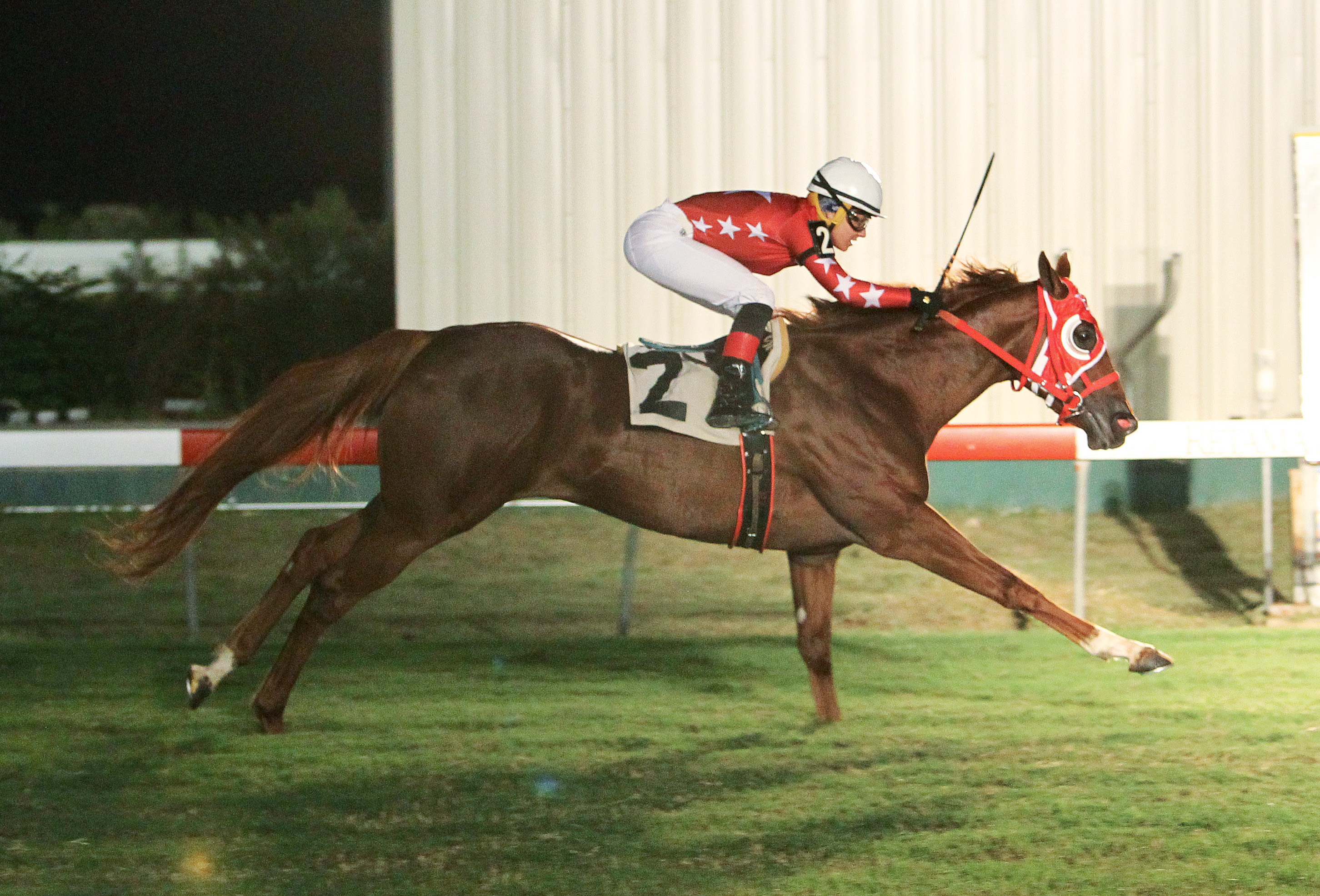 Terra's Angel wins La Senorita