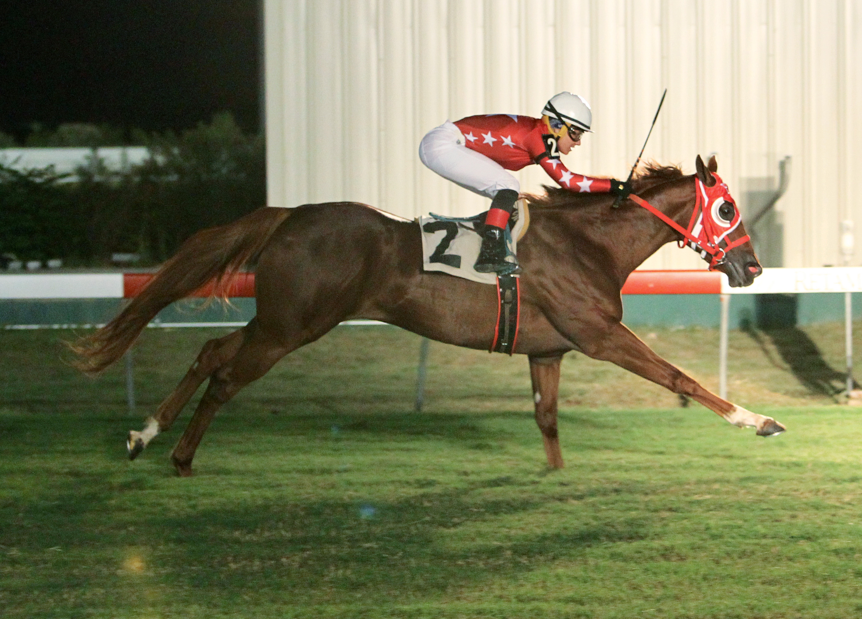 Terra's Angel wins 2017 La Senorita
