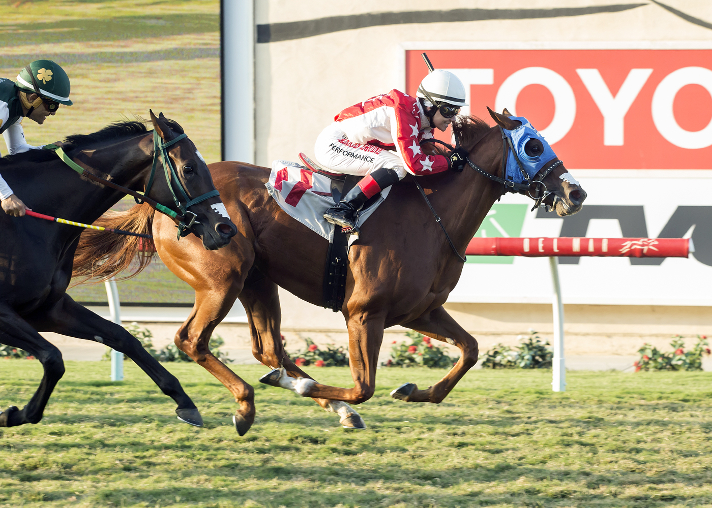 Terra's Angel wins the 2017 Del Mar Juvenile Turf