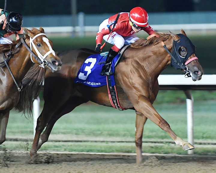 Terra's Angel wins the 2018 Panther Stakes at Prairie Meadows