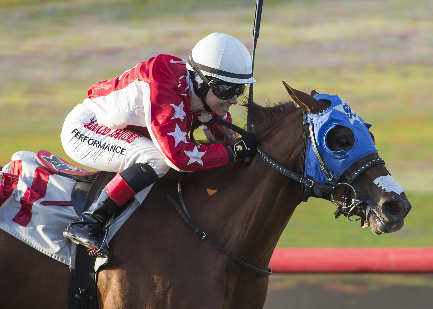 Terras Angel wins the 2017 Del Mar Juvenile Turf