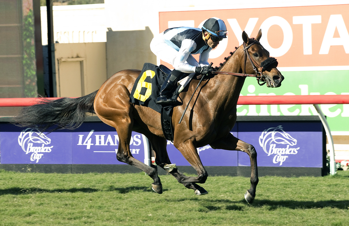 Tesora wins a Nov. 5 allowance race