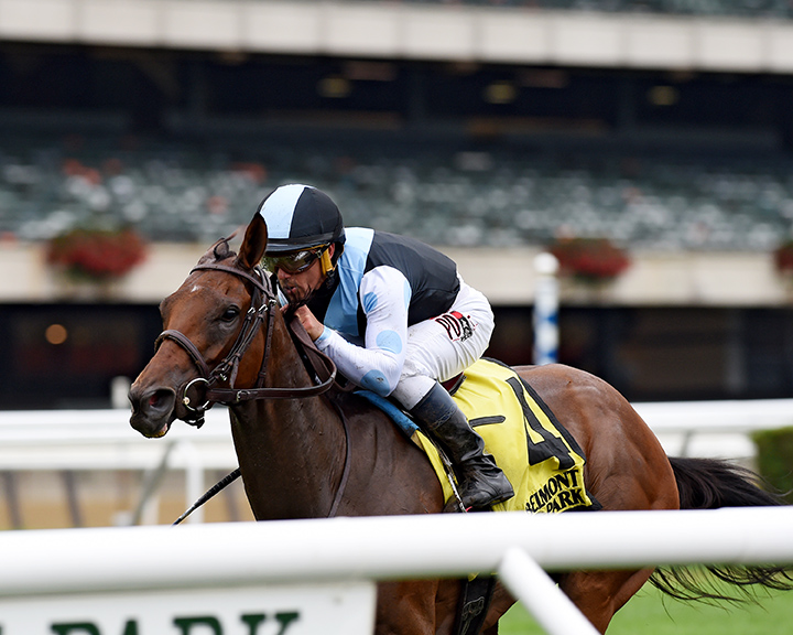 Tesora wins the 2018 Chrisiecat Stakes