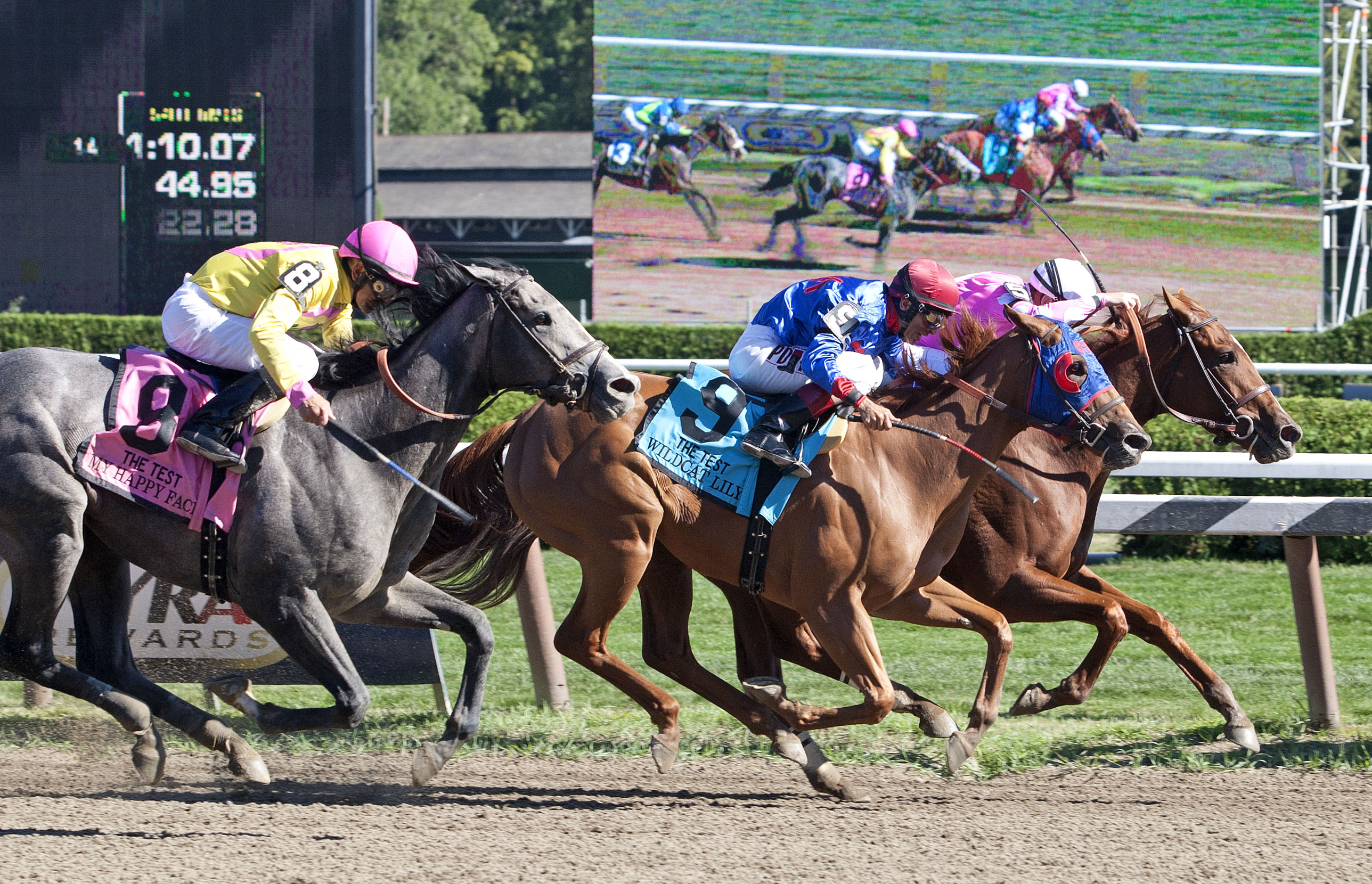 Sweet Lulu/Test Stakes