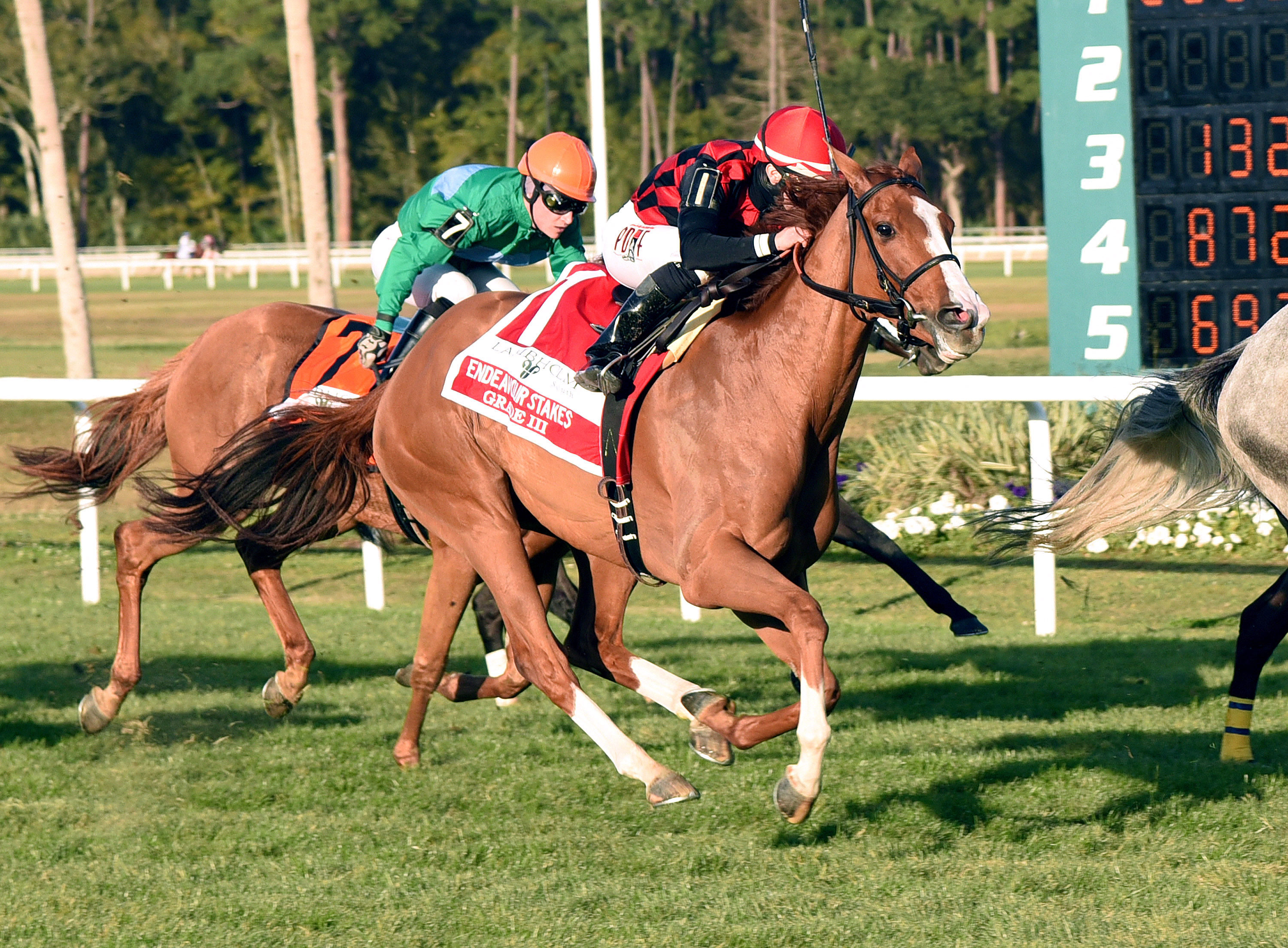 Testa Rossi wins the Endeavor on Hard Not To Like disqualification