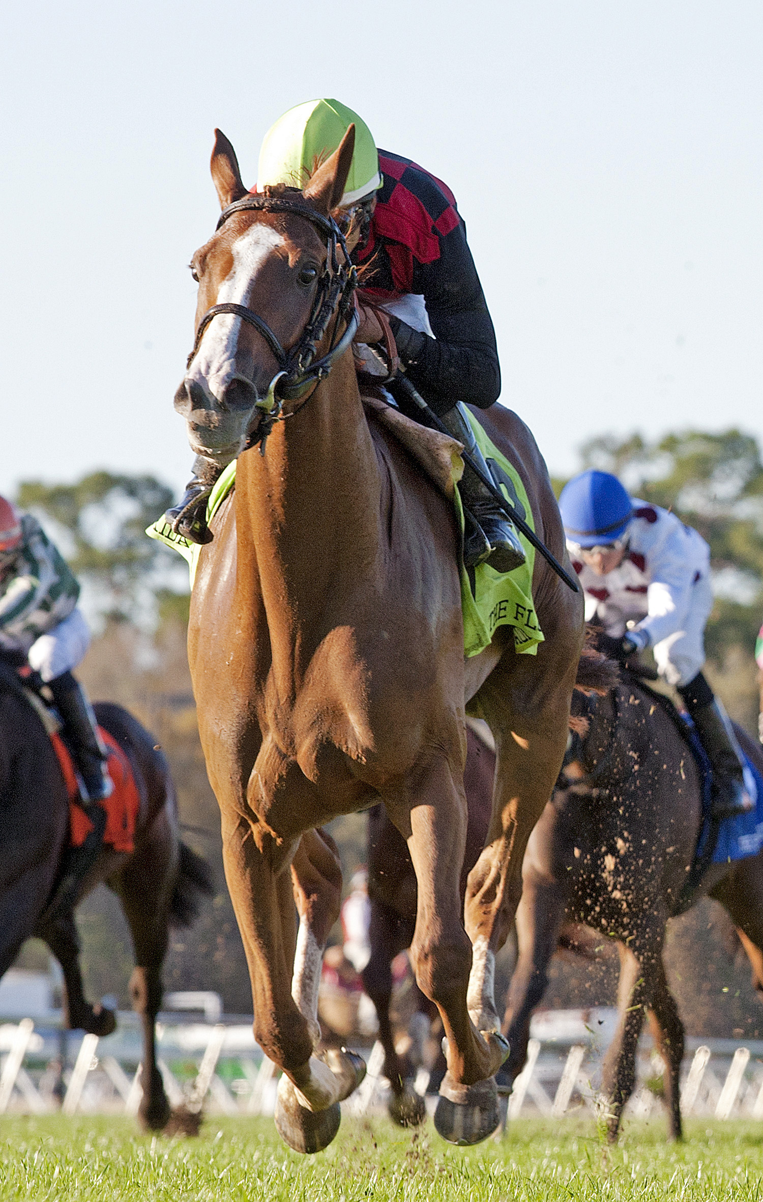 Testa Rossi wins the 2014 Florida Oaks