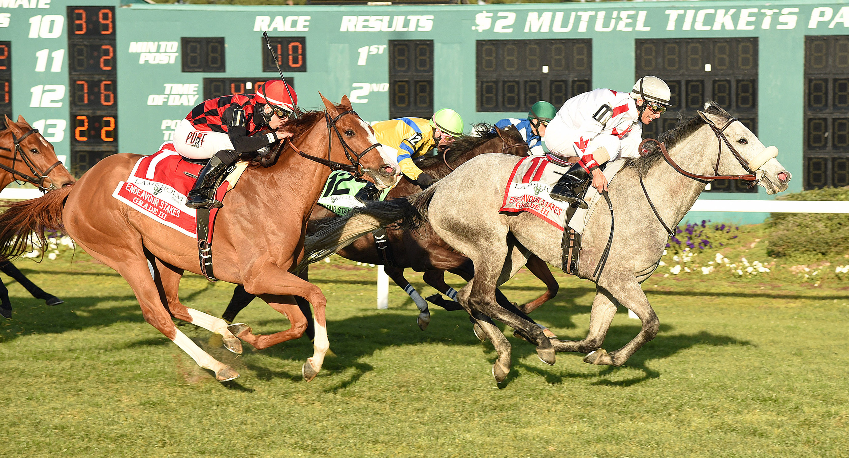 Testa Rossi wins the Endeavor on Hard Not To Like disqualification
