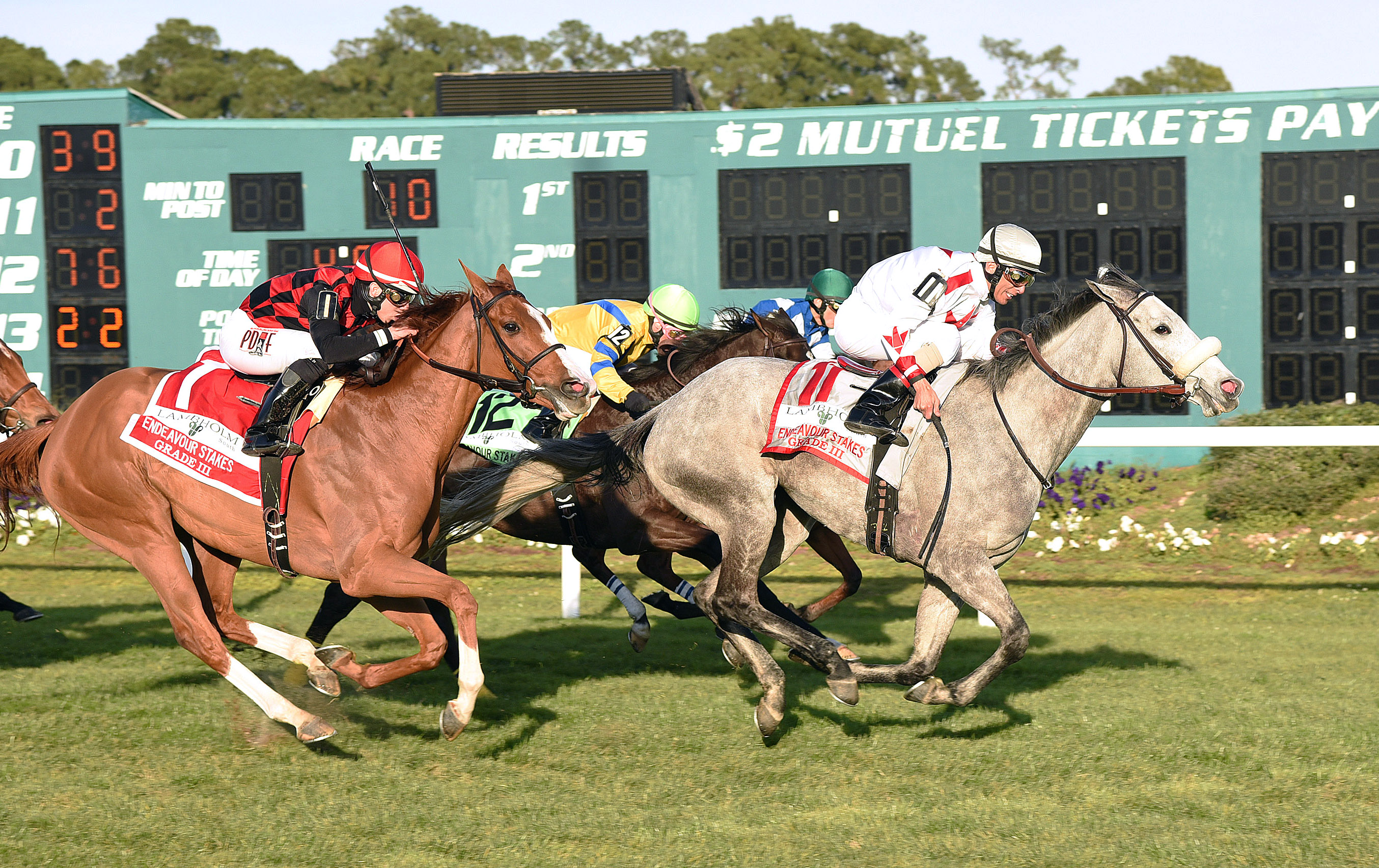 Hard Not to Like disqualified in the Endeavor Stakes